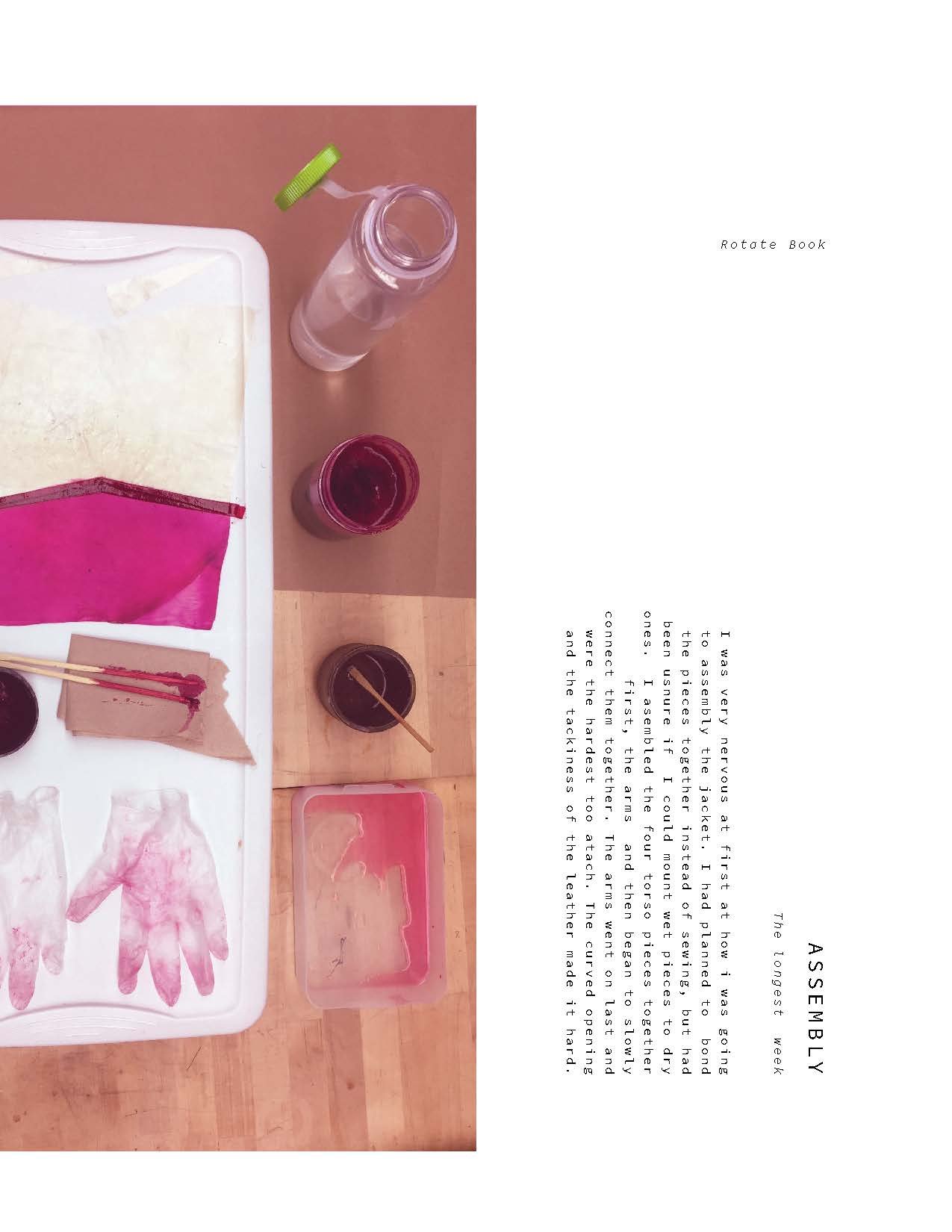 lily_steiner_process_book_Print_Page_37.jpg