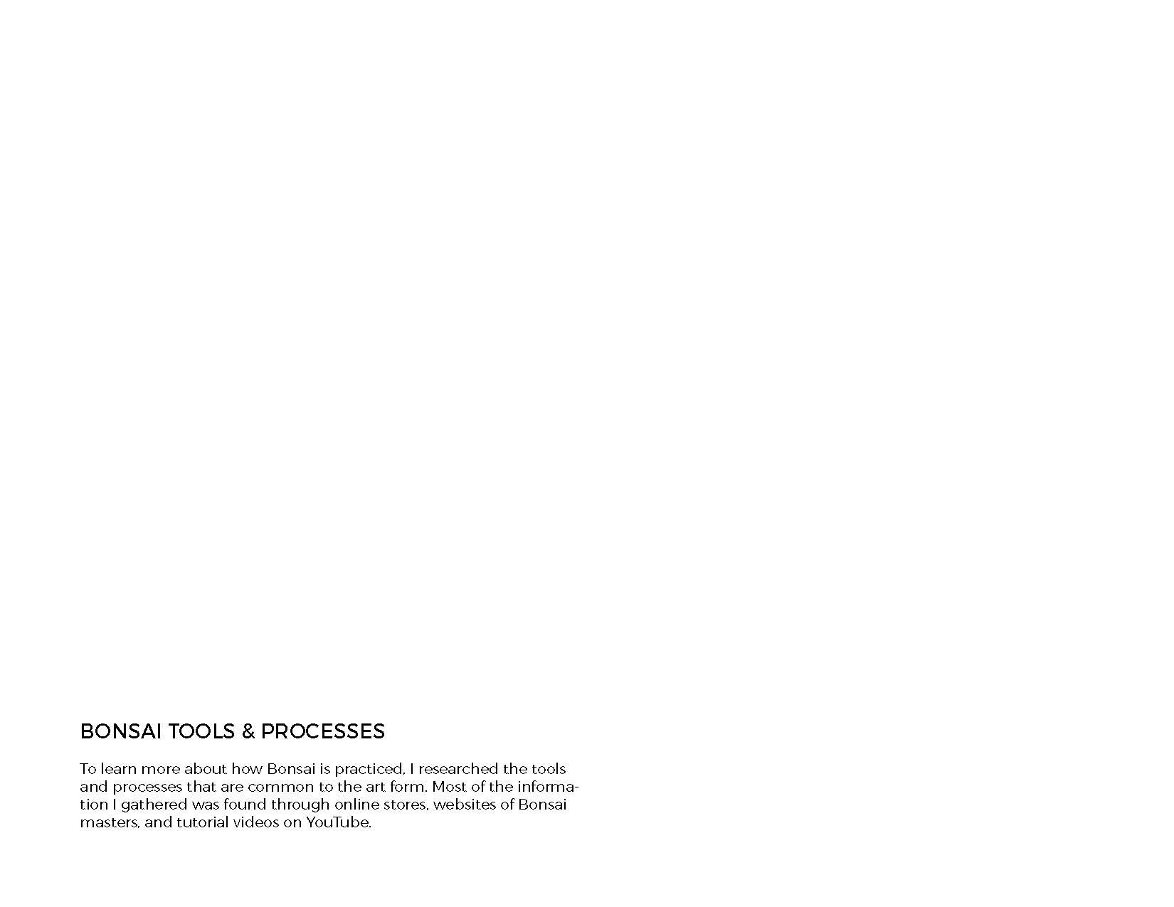 DuFour Bonsai Process Book_Page_022.jpg