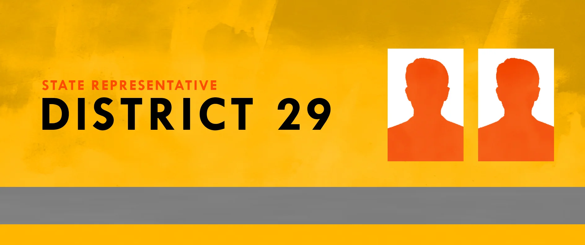 State Representative District 29.jpg