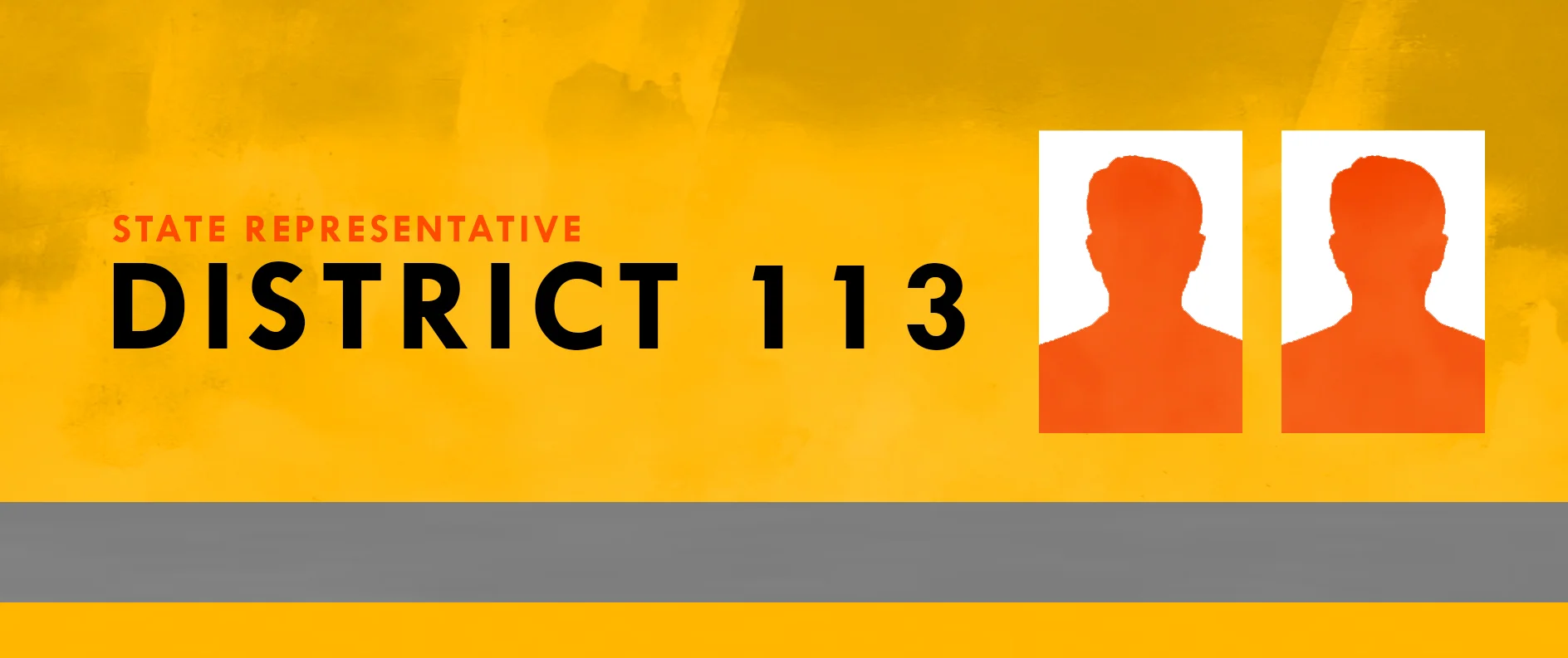 State Representative District 113.jpg