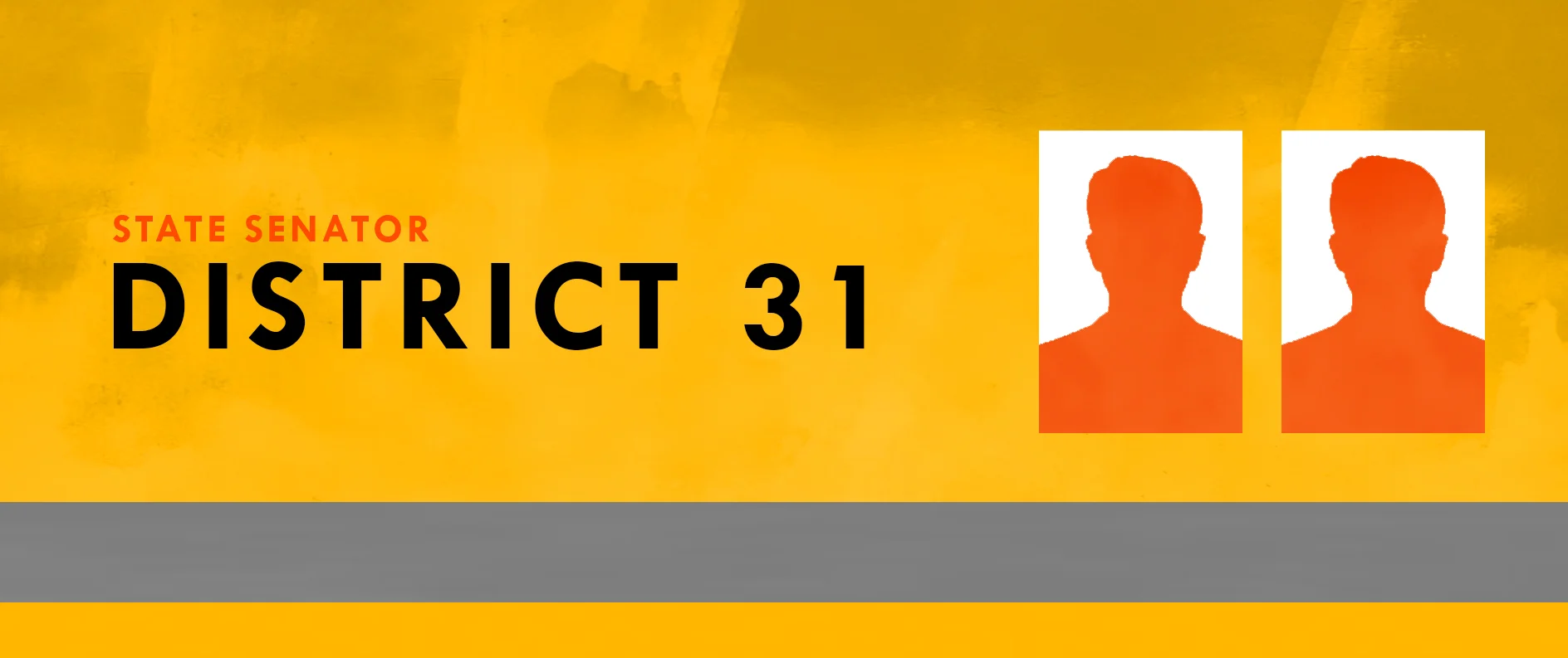 State Senator District 31.jpg