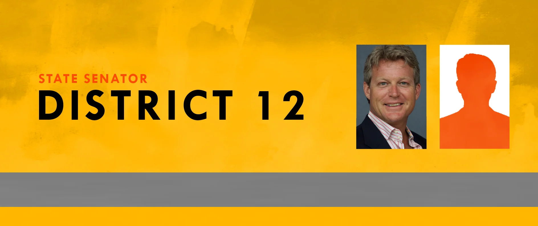 State Senator District 12.jpg