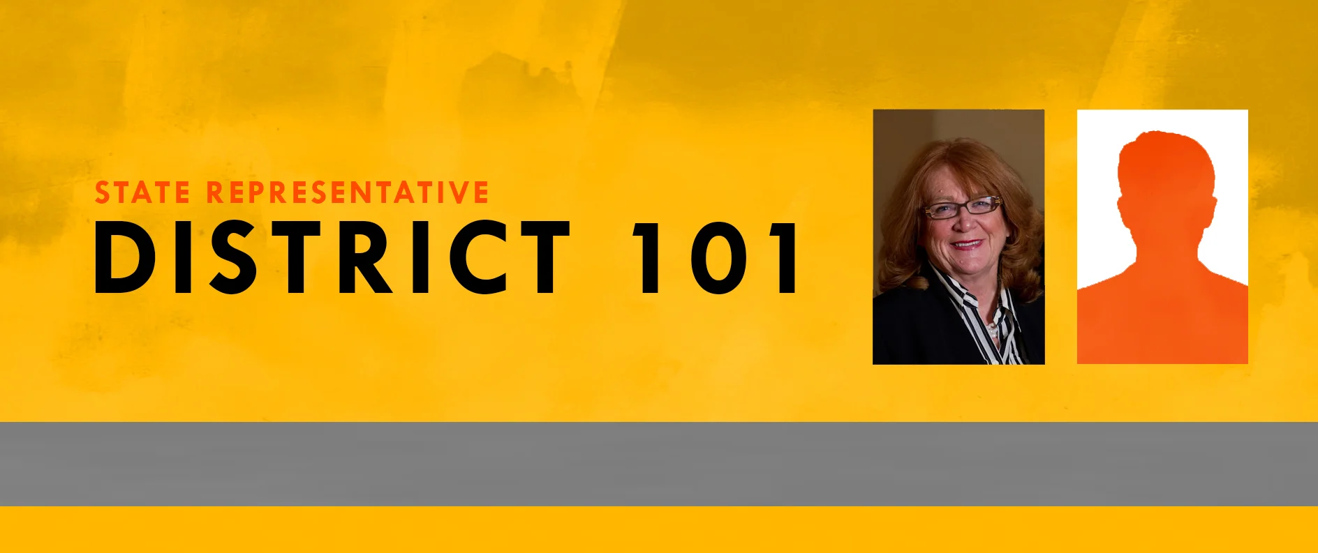 State Representative District 101.jpg