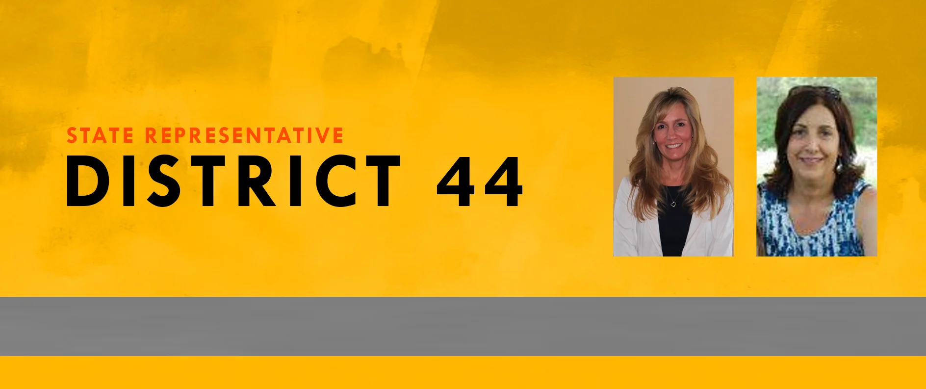 State Representative District 44.jpg