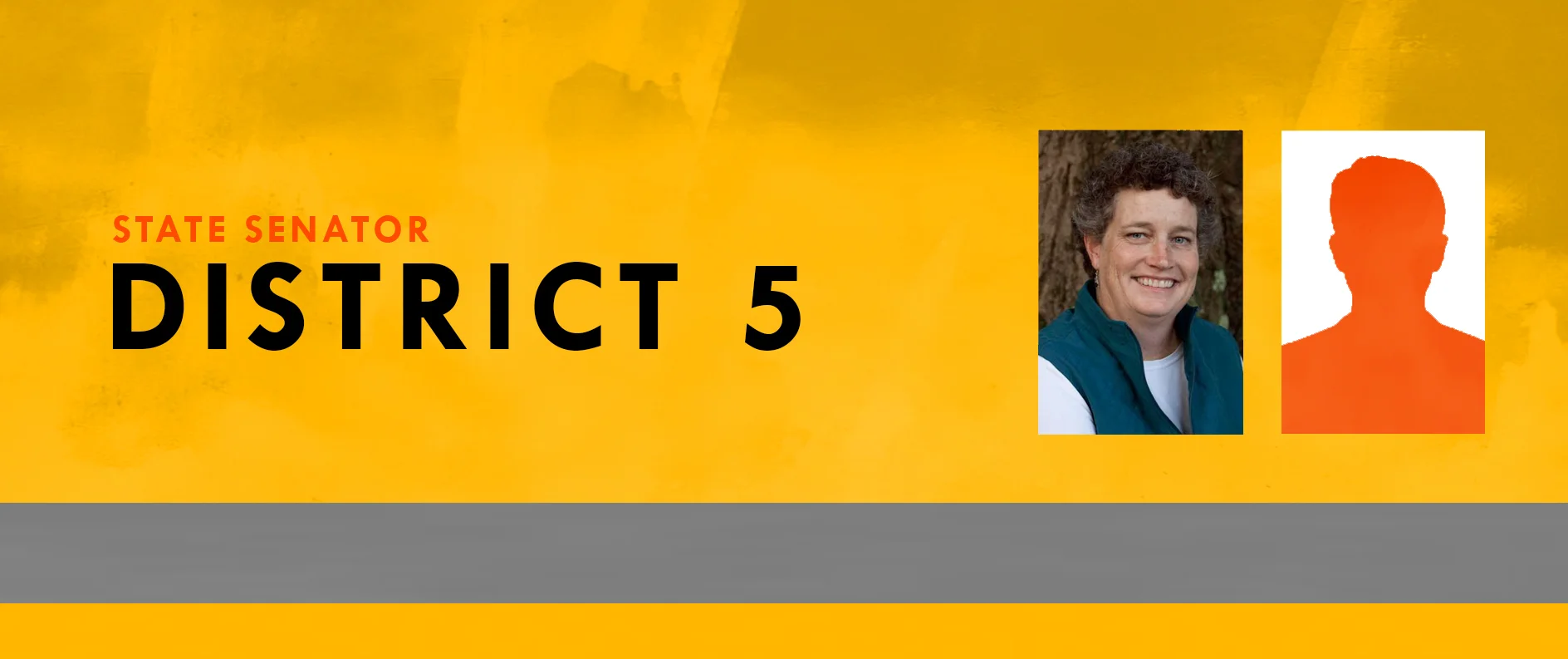 State Senator District 5.jpg