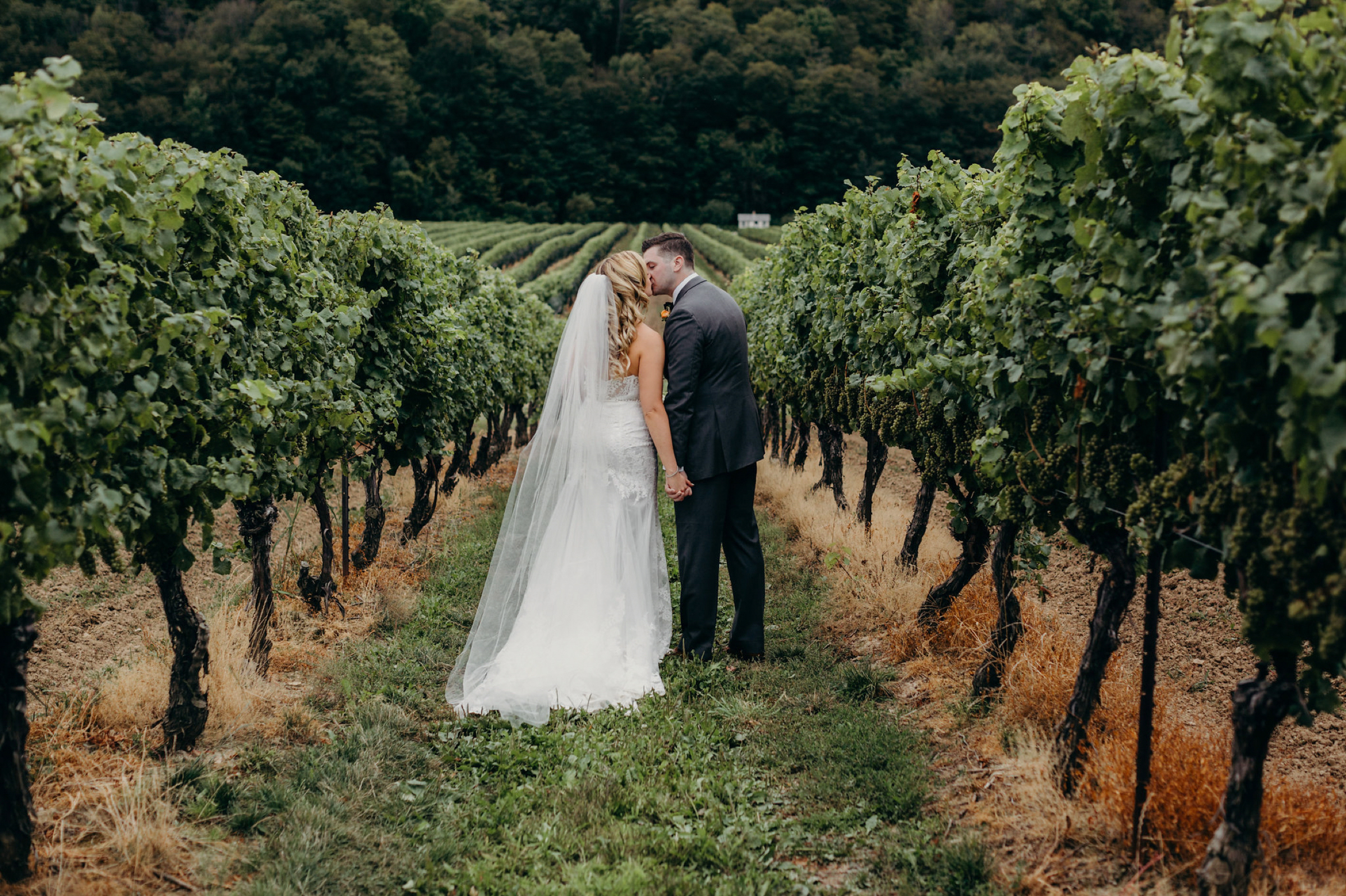 Cave Springs Vineyard Wedding Esther Sean 60.jpg