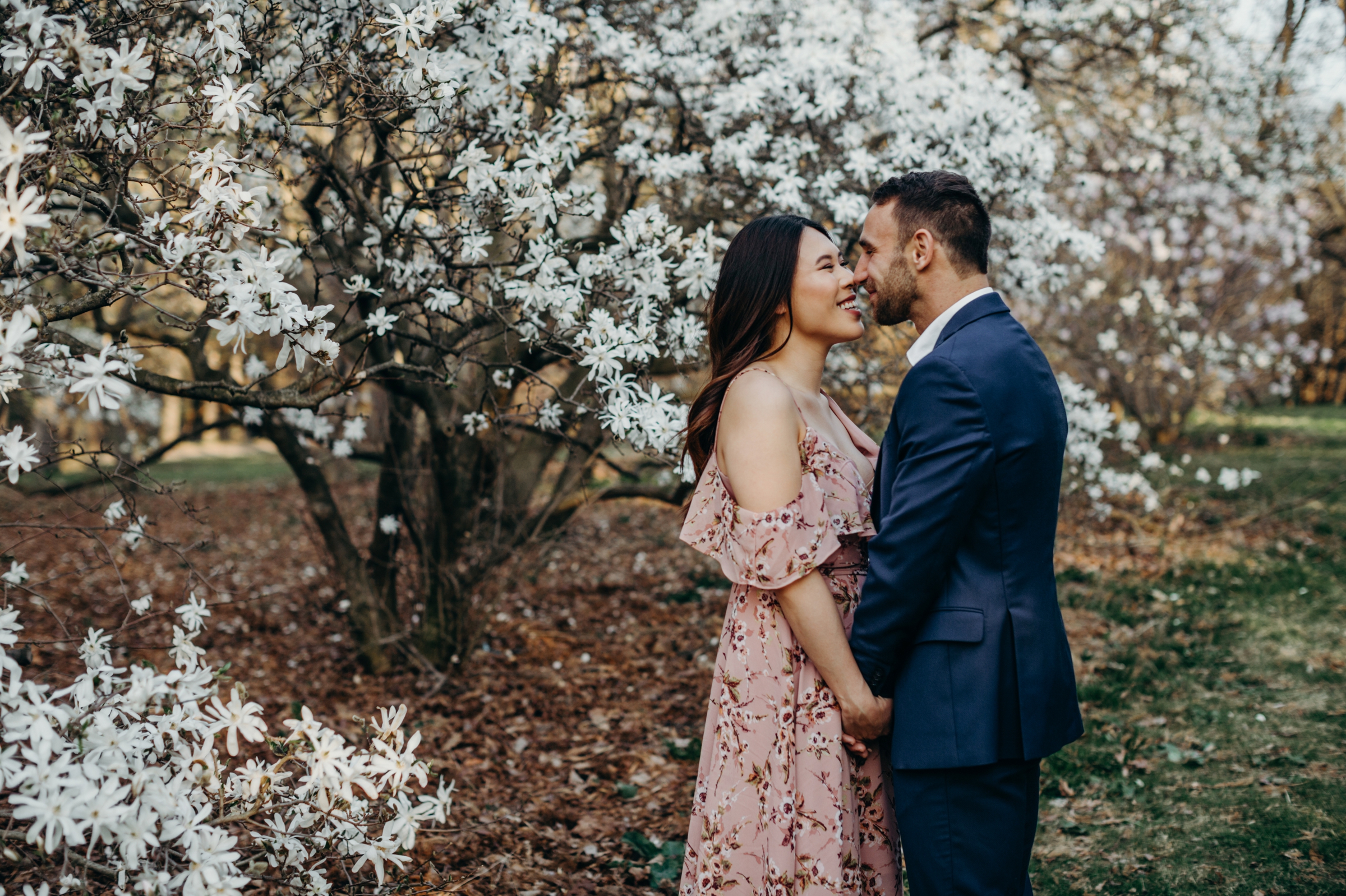 Ottawa Blossom Engagement Session - Tina and Matthew 1.jpg