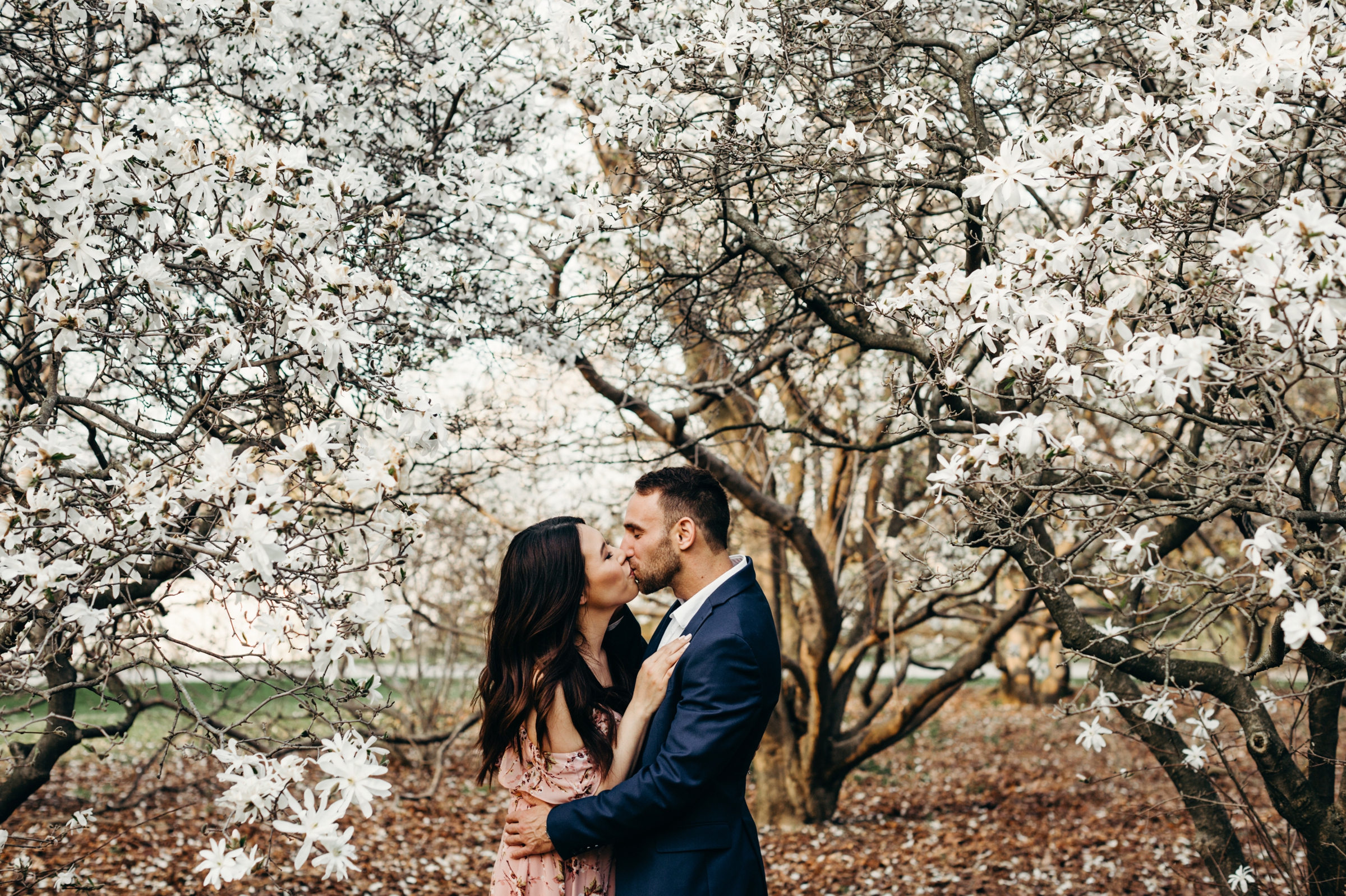 Ottawa Blossom Engagement Session - Tina and Matthew 23.jpg