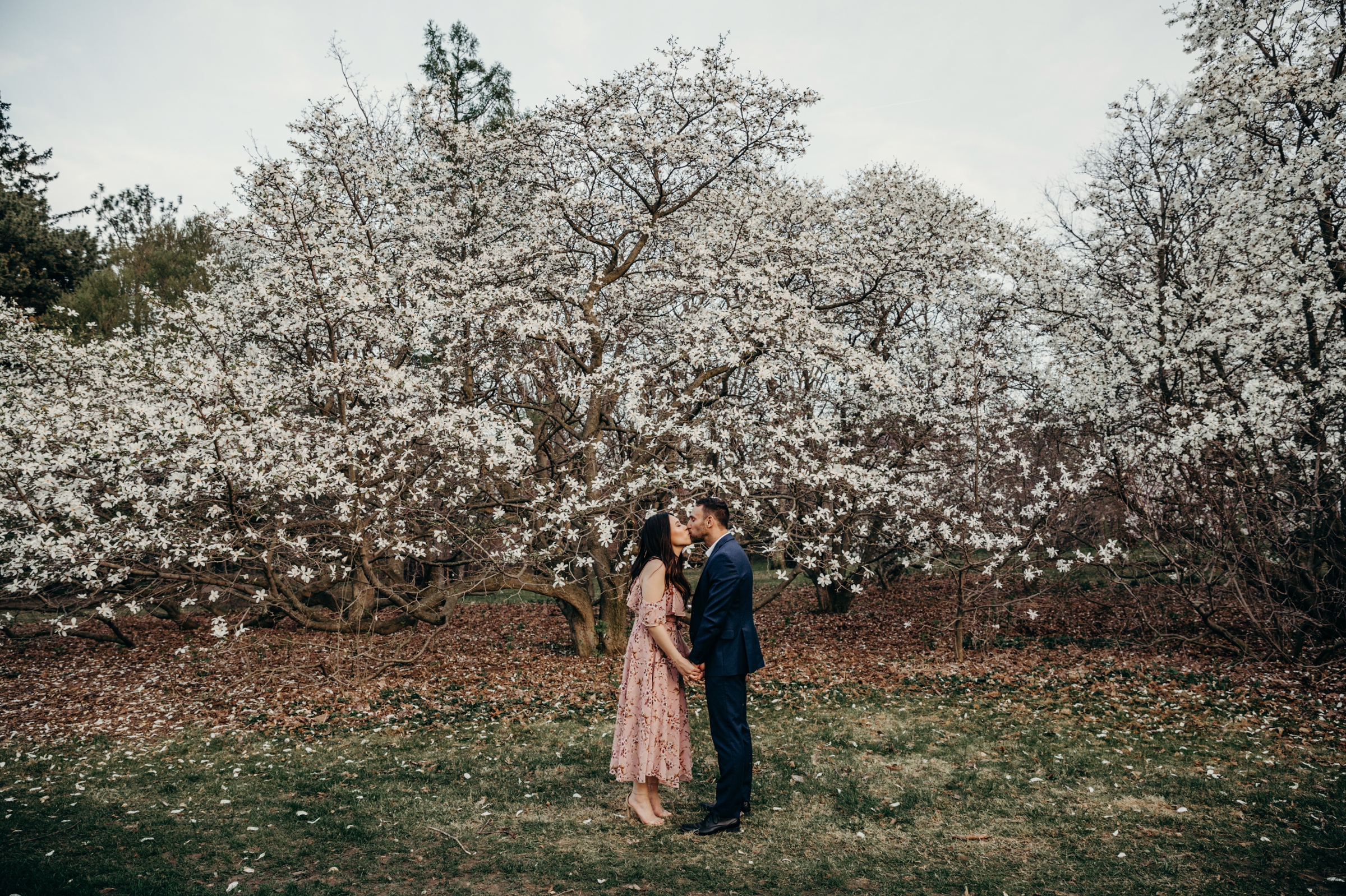 Ottawa Blossom Engagement Session - Tina and Matthew 35.jpg