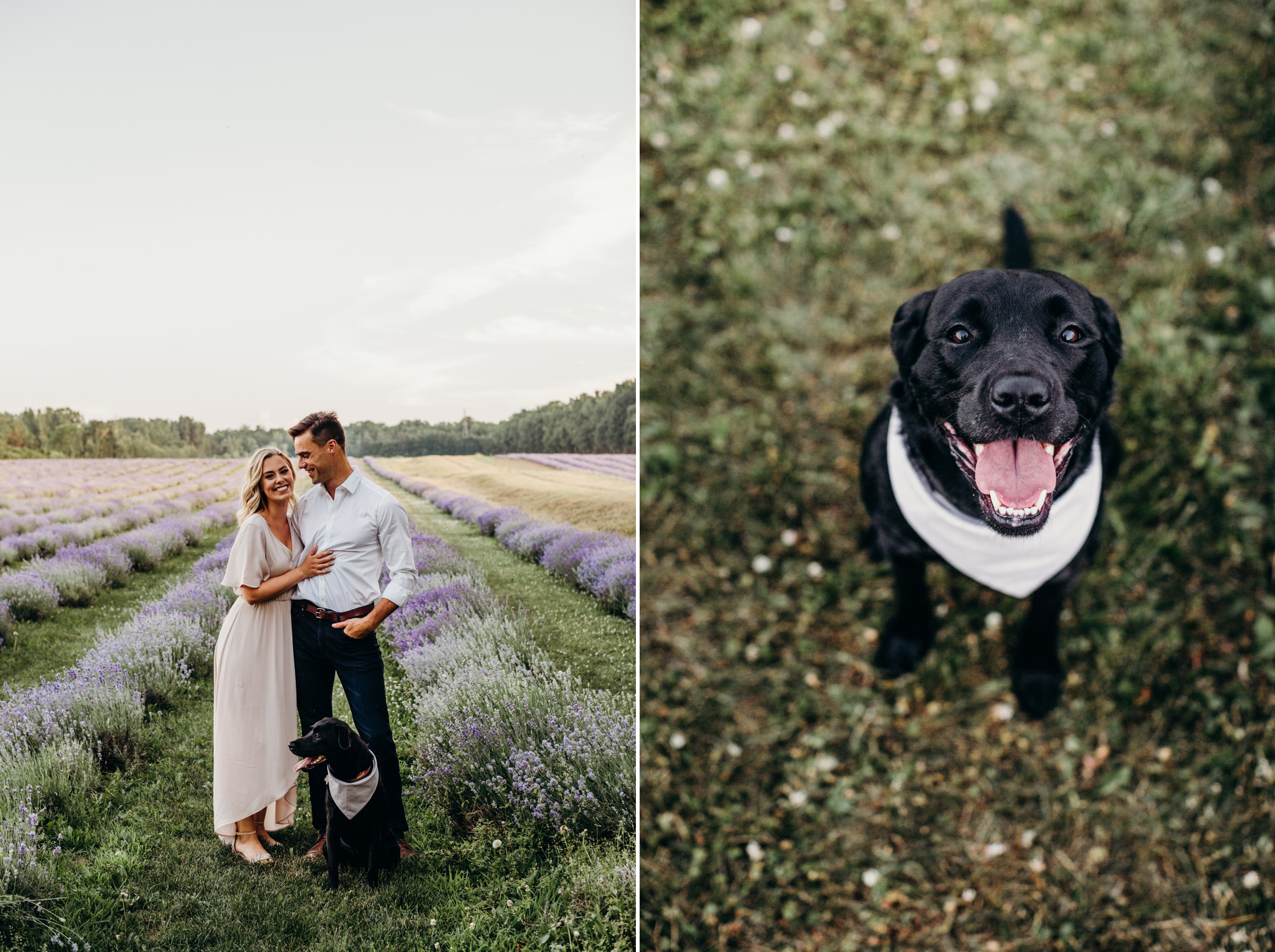 Lavender Farm La Maison Lavande Engagement Session  2.jpg