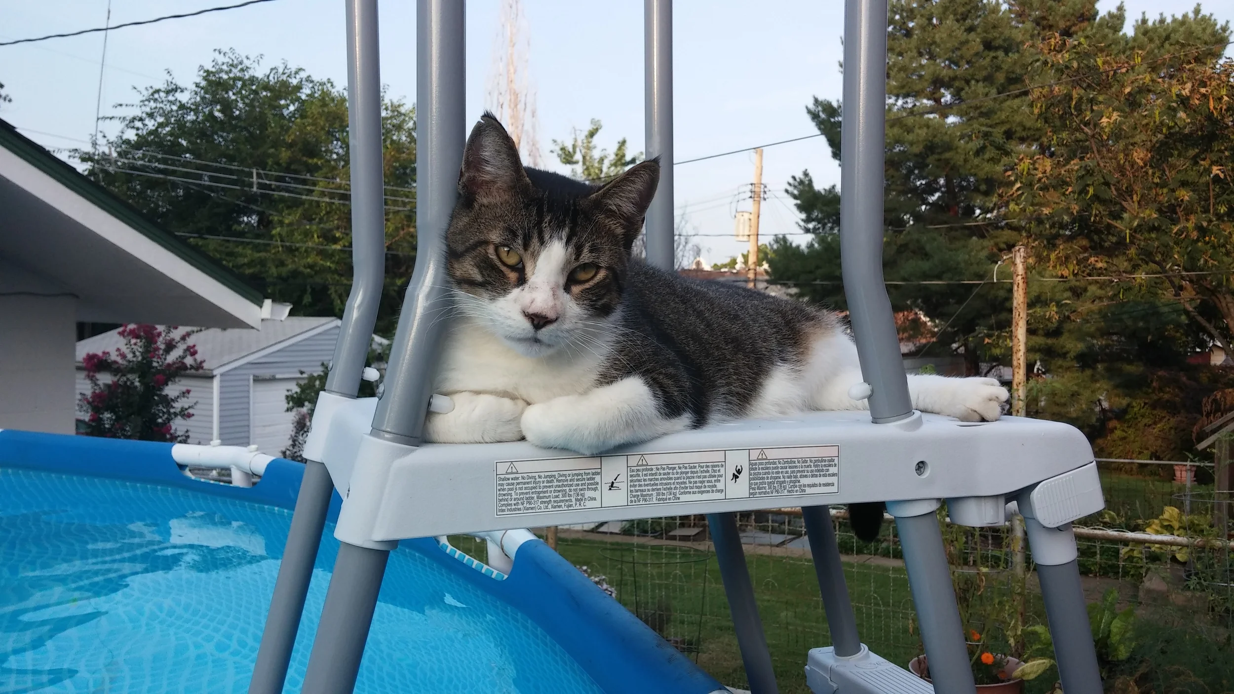 Ed doesn't care what's next on the list, he's not getting any closer to the water. 
