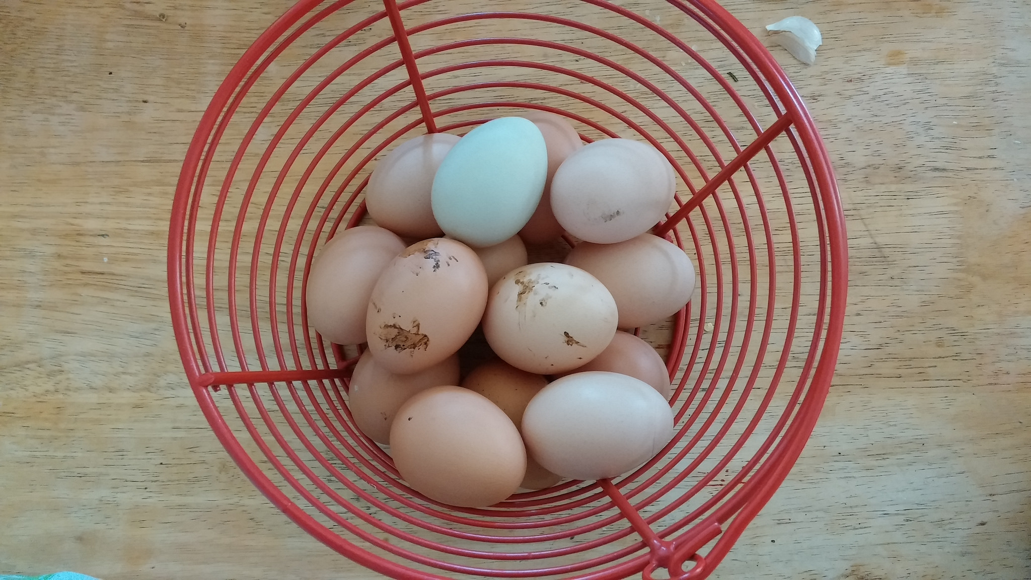 And their eggs are pretty, tasty and sugar-free. 