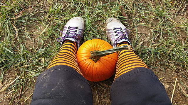 My feet and my pumpkin, post-race. Now I want to wear those striped tights everywhere!