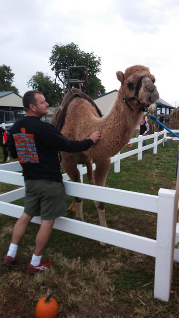 Eric and the friendly camel