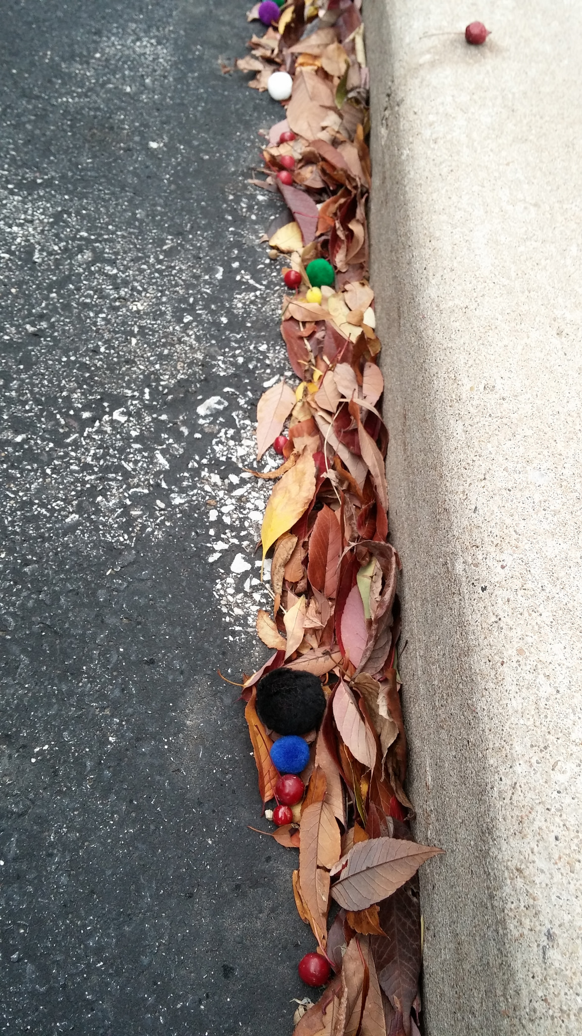 Pompoms, berries and leaves in a gutter. They have nothing to do with social media, except that I didn't post this photo anywhere but here. 