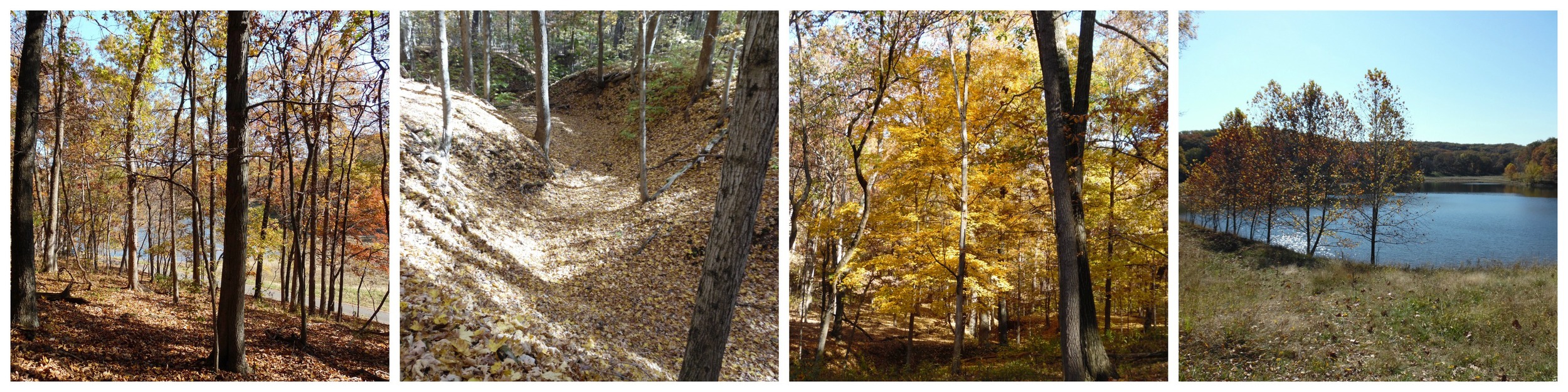 It's a beautiful time of year for hiking!