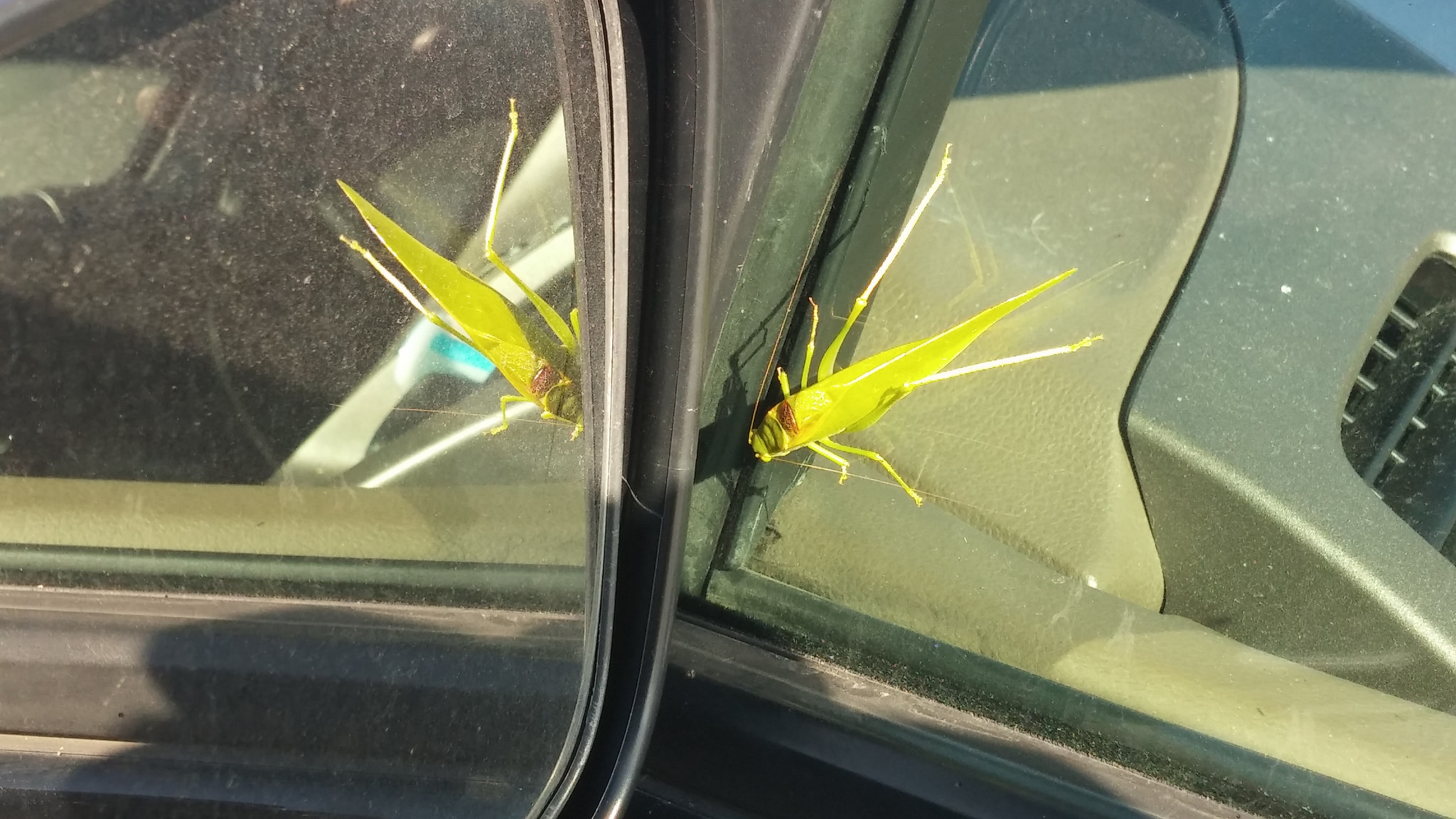 Probably not this kind of bug. 