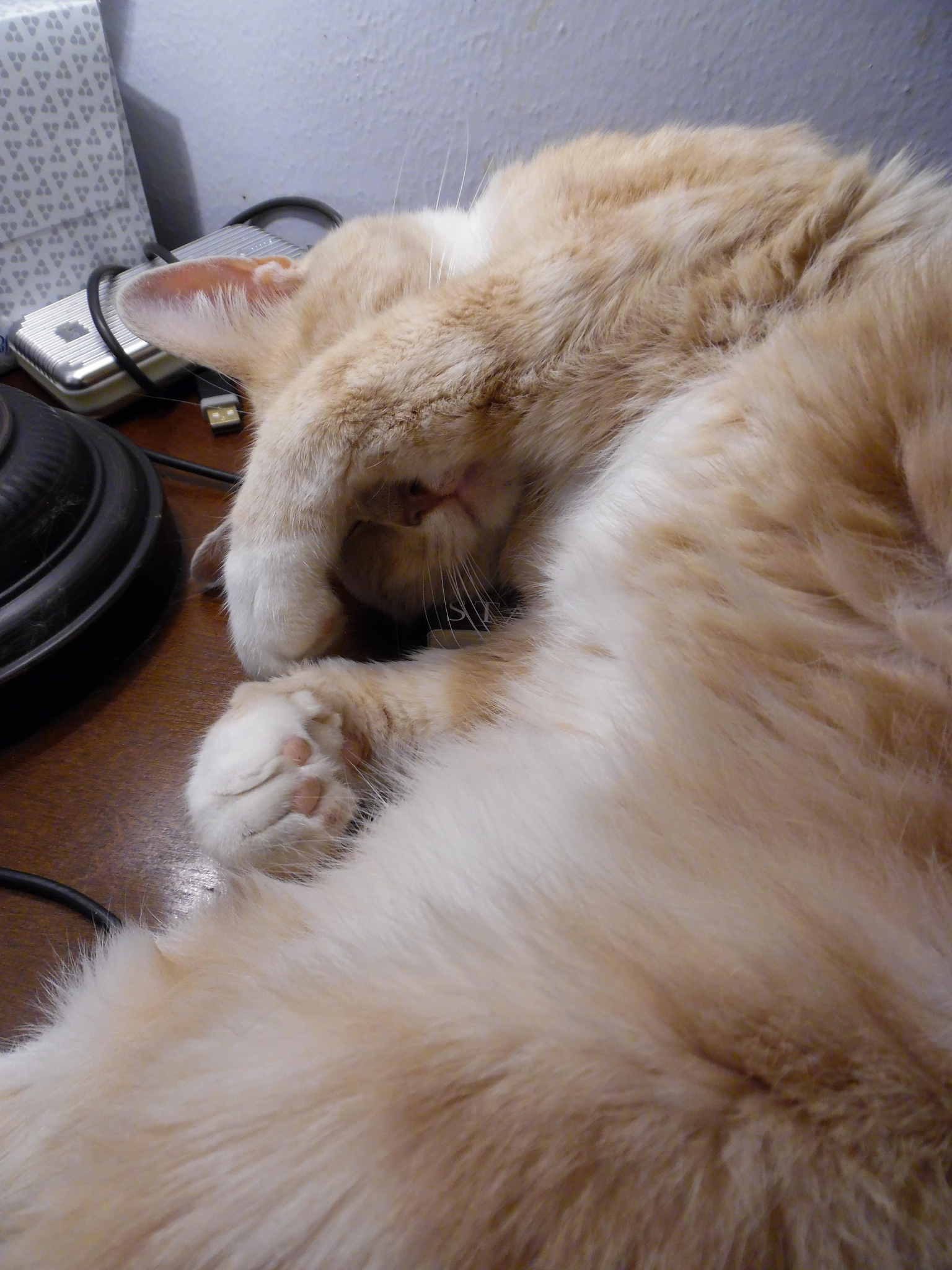 Leroy rests up after a night of killing on the streets. 