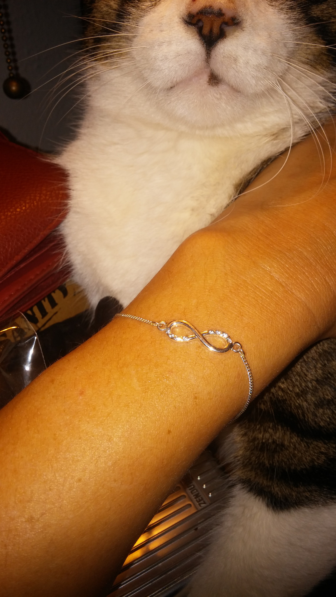 The reminder bracelet and Ed's cute little snout. 