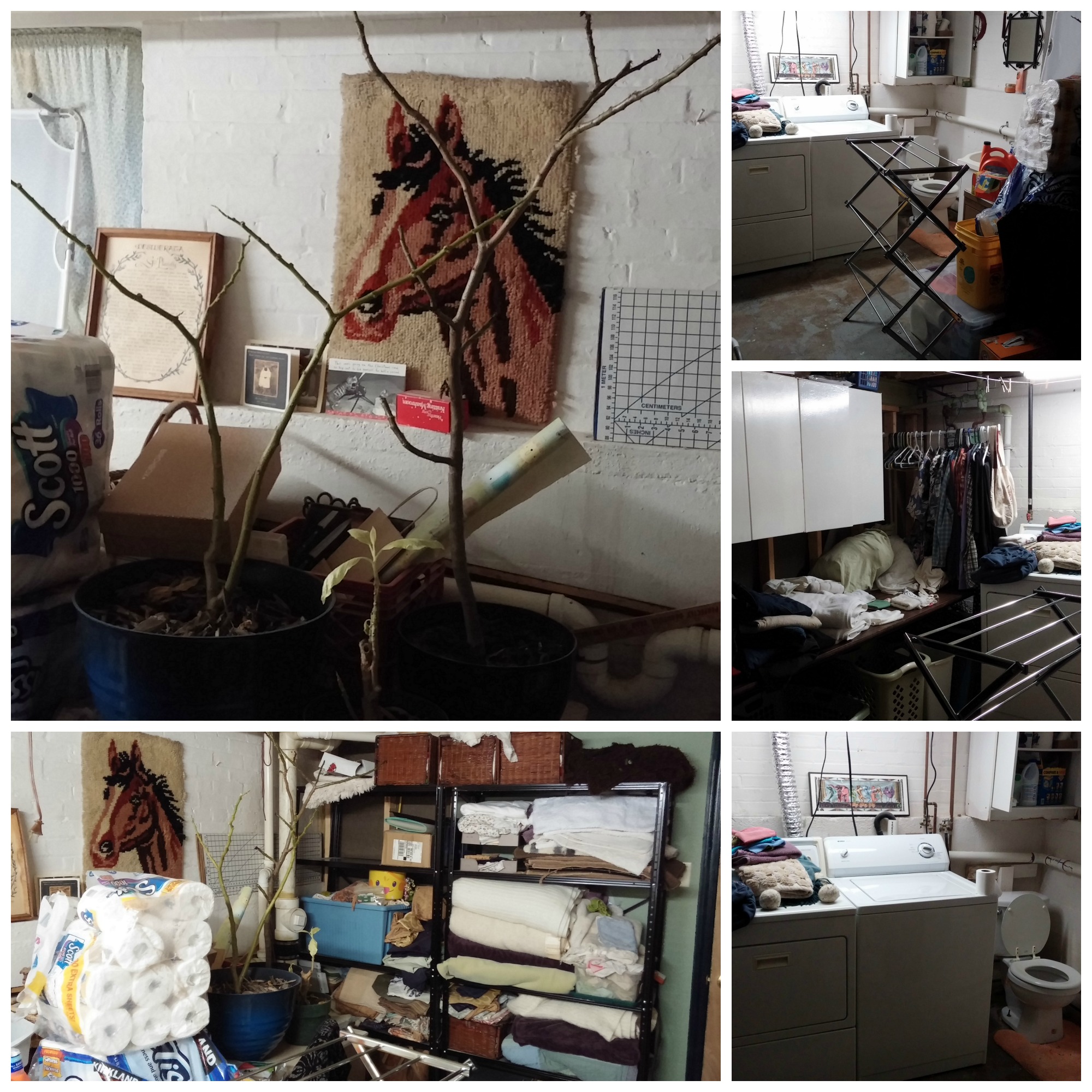  I've already decluttered the shelves on the right side. Also, I appear to be stockpiling toilet paper. And those balls on the dryer are felted wool dryer balls. Google them; they're awesome. 