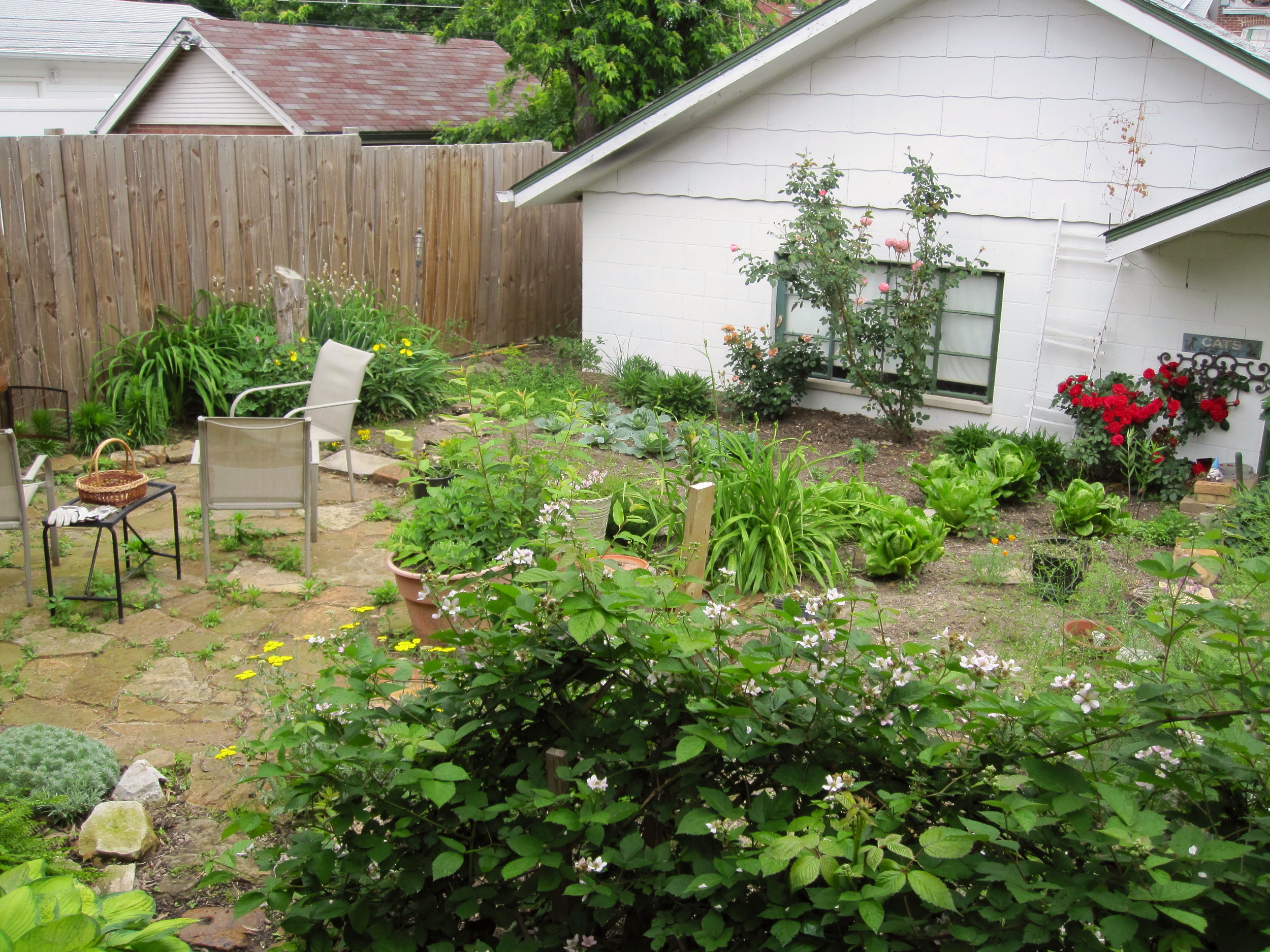 Our back yard, circa 2011, when it was mostly garden. 