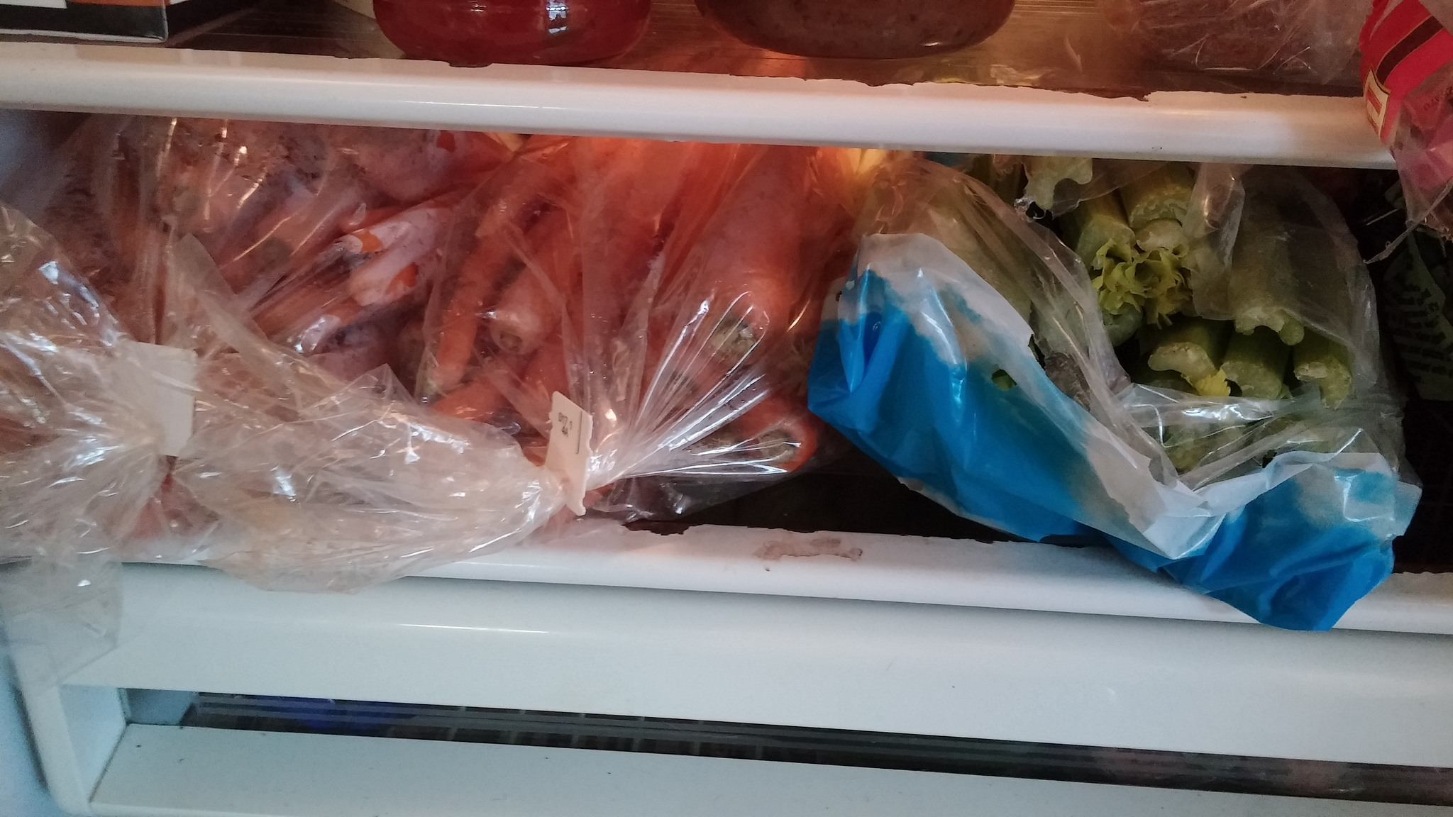 It's not easy to get 10 pounds of carrots and three celery hearts into the fridge, but I did it. 