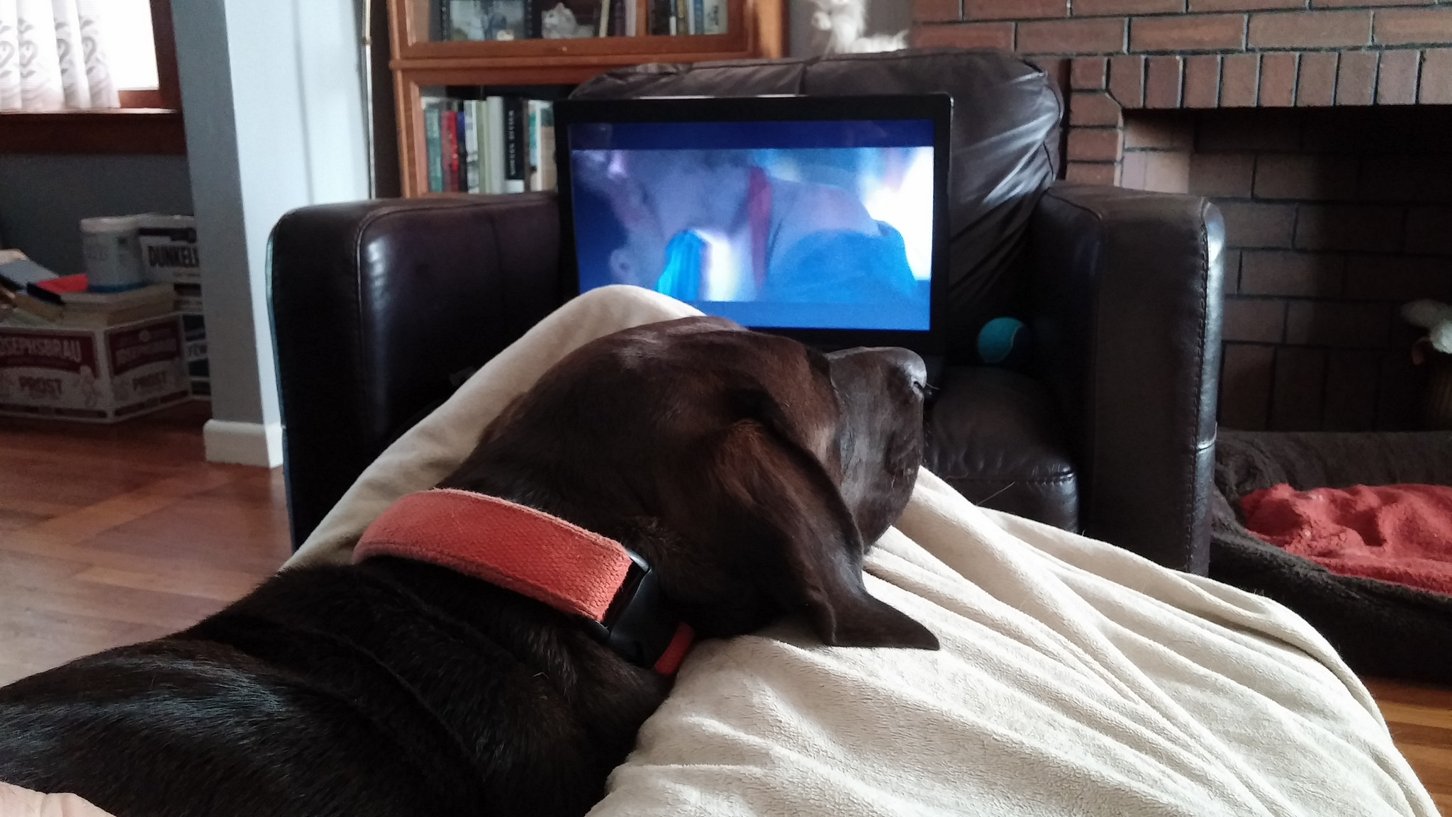 Hazel could have watched True Romance with us, but she slept through the whole thing. 