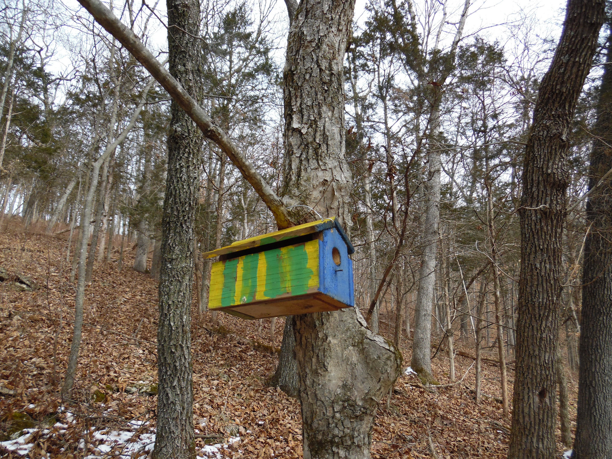 There were lots of these colorful little birdhouses at West Tyson and they were the only color we saw. 