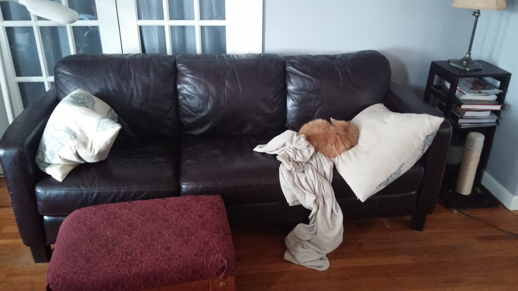 Couch hog