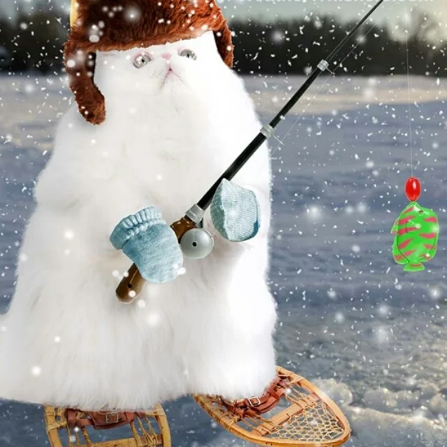 One of the cute images Weather Whiskers has for snow