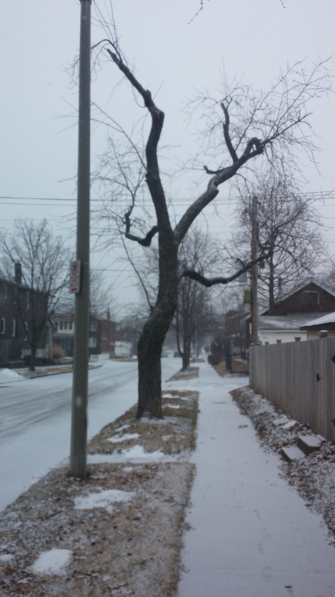 Winter continues