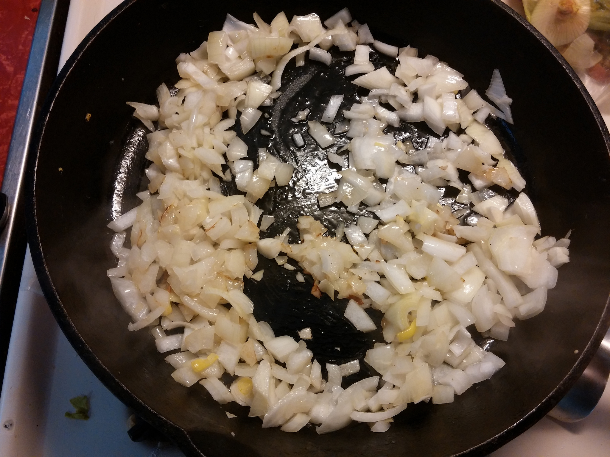 You can tell from the shapes of the onion bits that I have no real knife skills to speak of. 