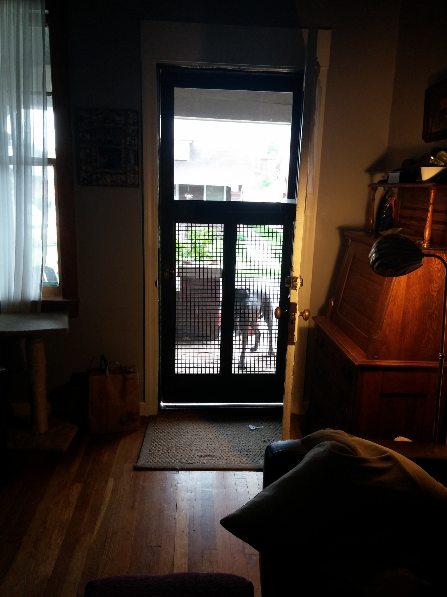 Sometimes the dog gets to hang out on the front porch, by herself. But only if she's on a leash and it's raining. Sorry, dog. 