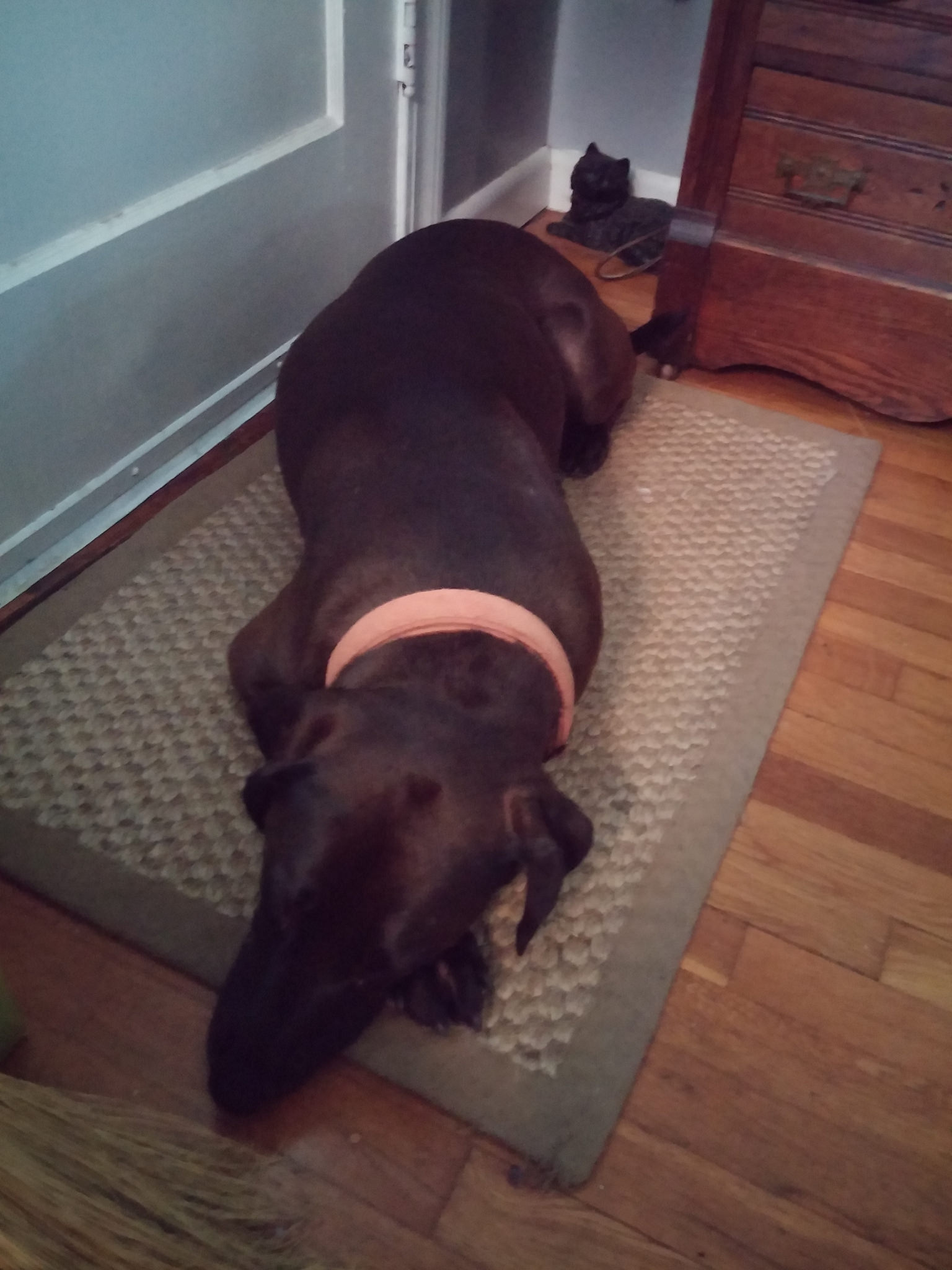 Hazel might need a day off. 