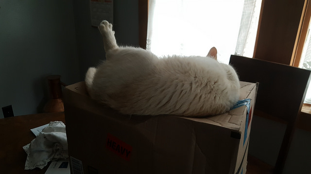 Not actually asleep, but just look at that leg!