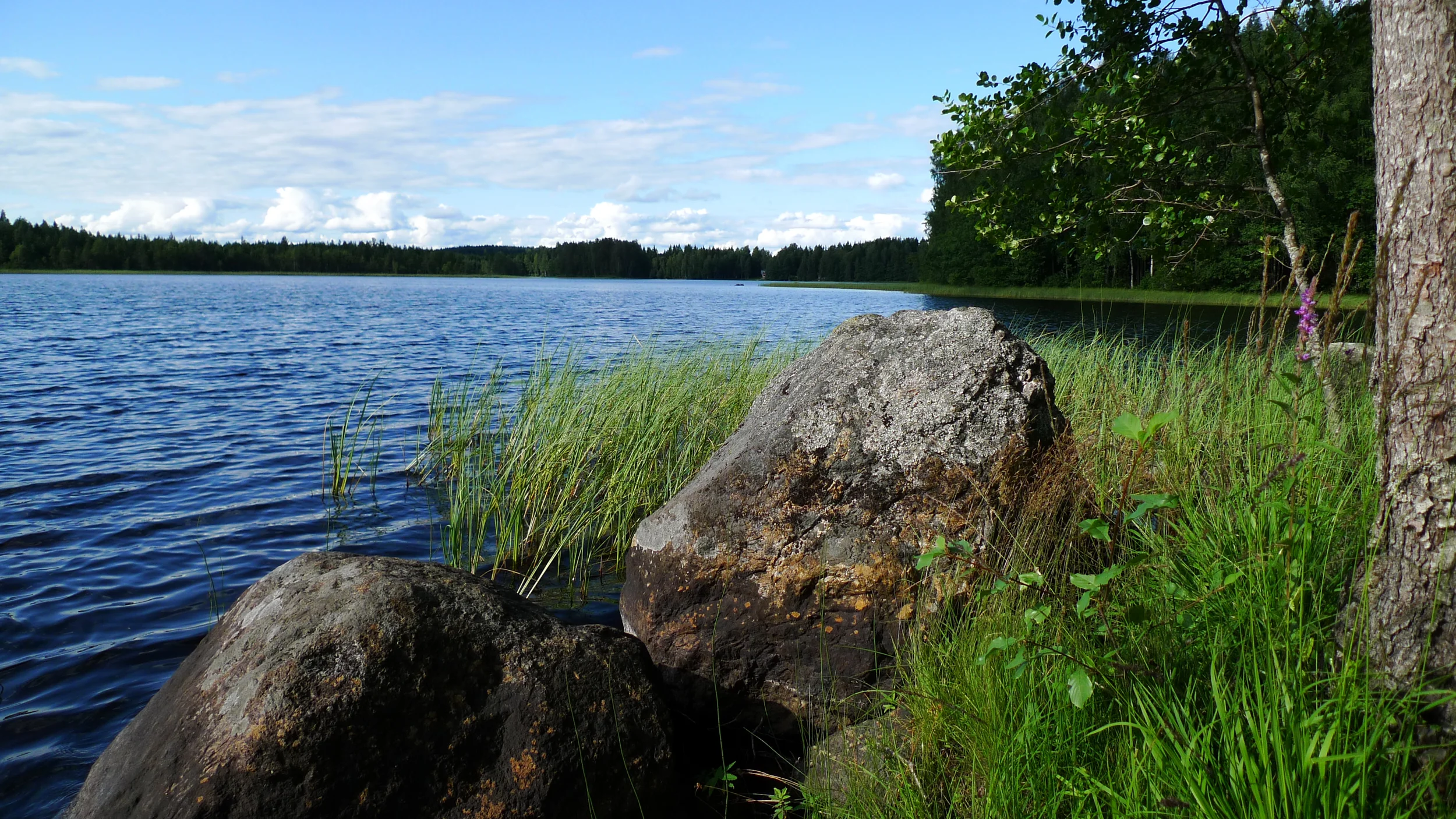 P1000318.jpg