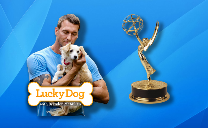 "Lucky Dog" with Brandon McMillan has been nominated for a Daytime Emmy® Award!