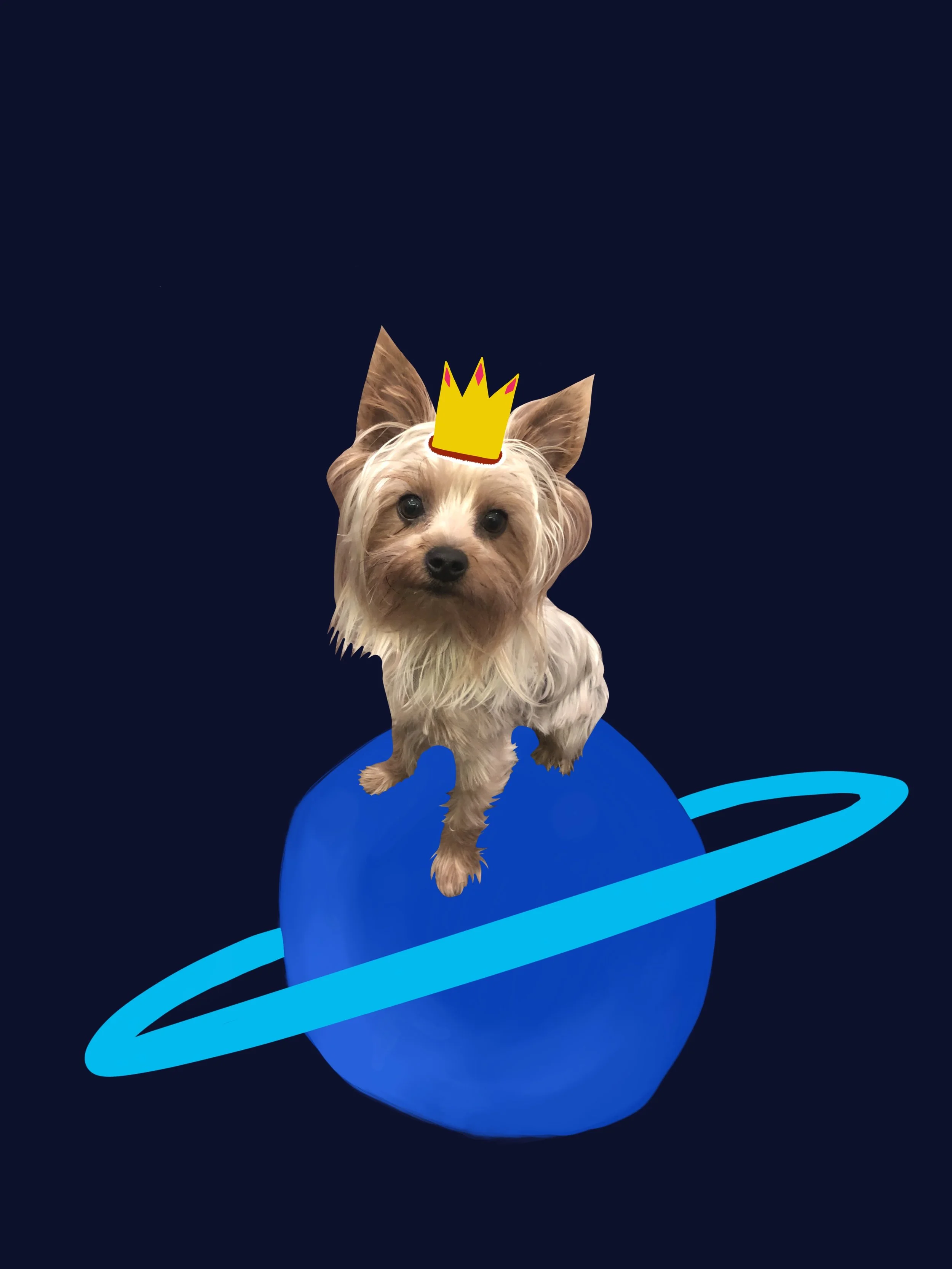 Welcome to Planet Champ (2018)