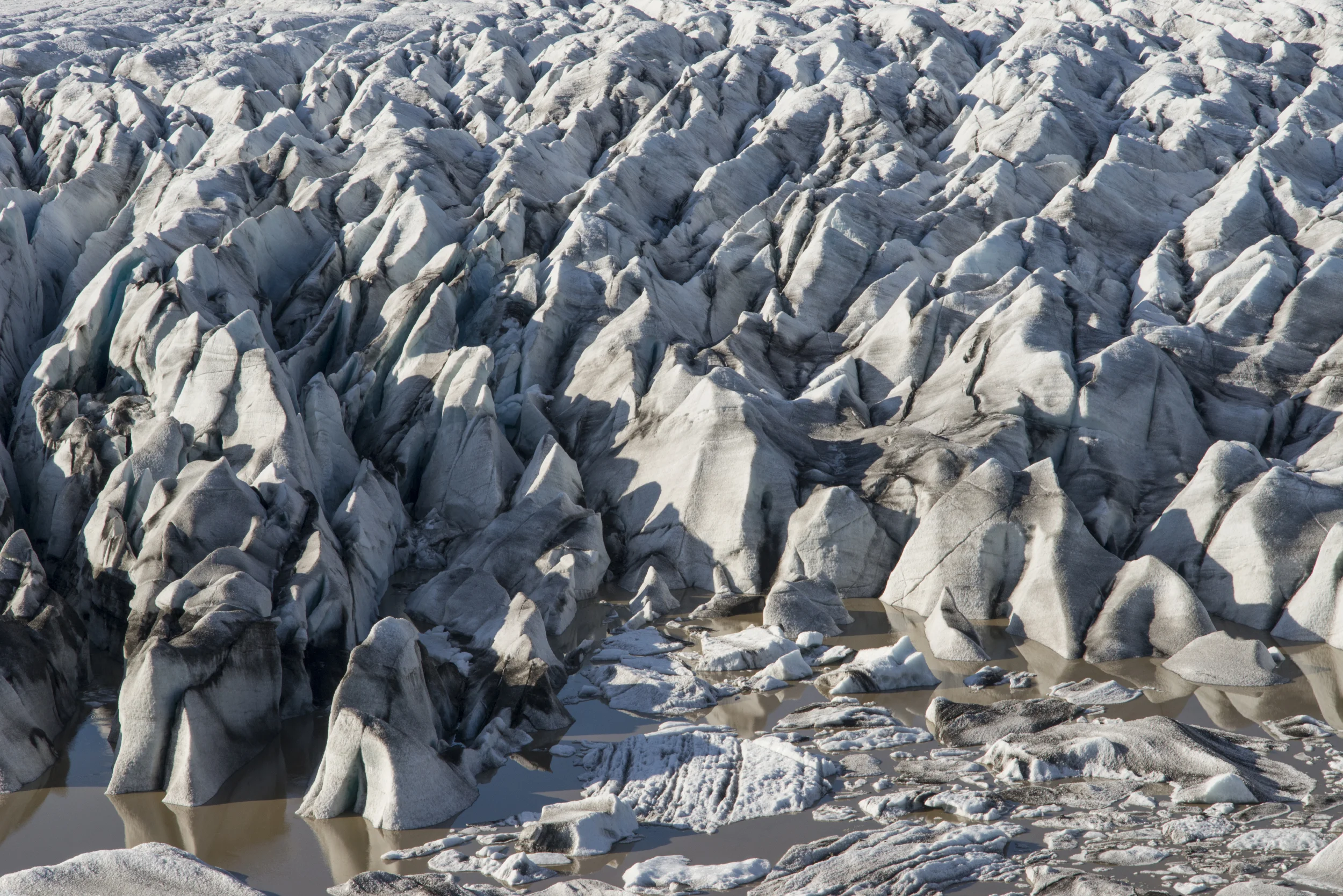 ICELAND-Grant Ellis-039.jpg