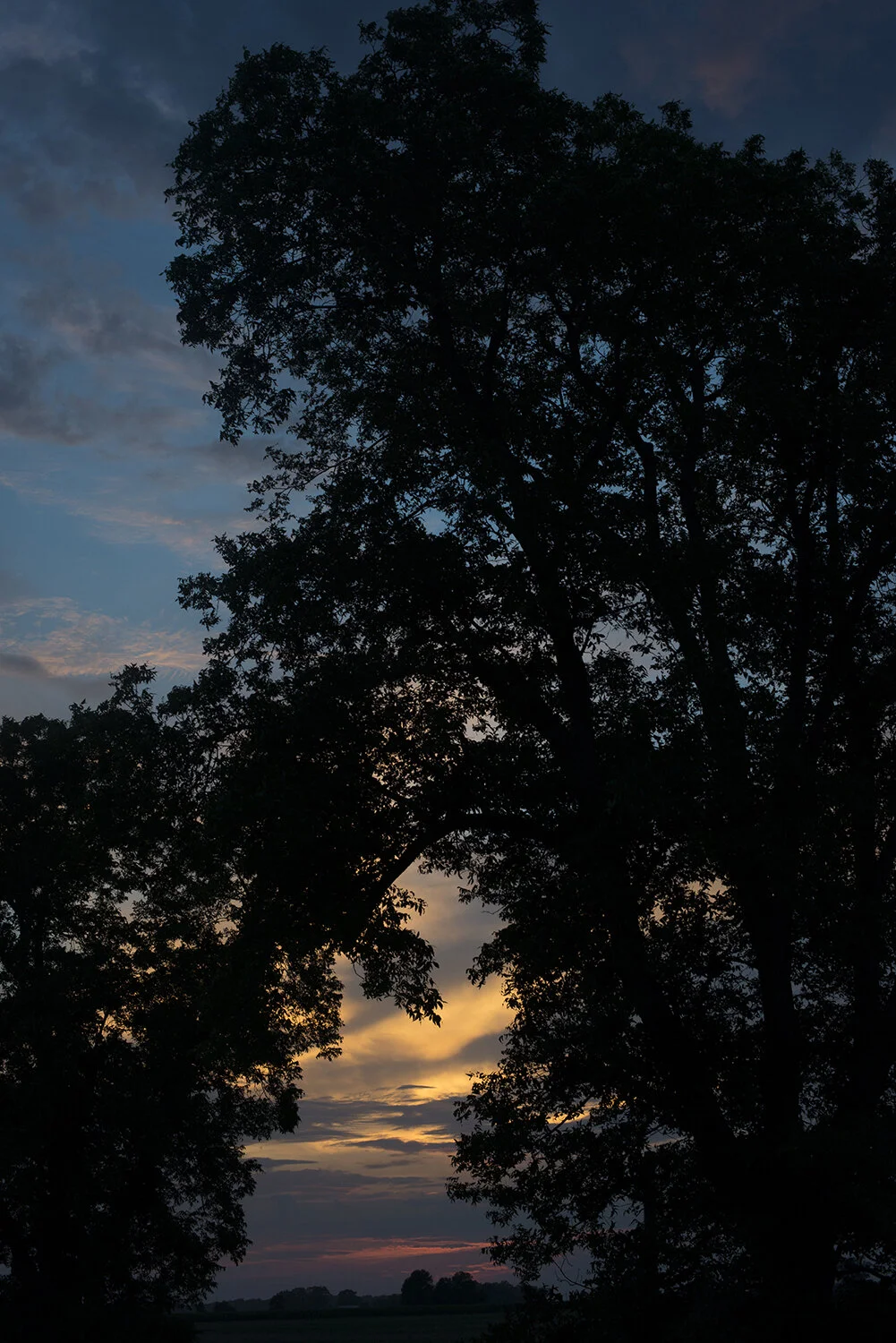 BLESS YOUR HEART PRINTS018.jpg