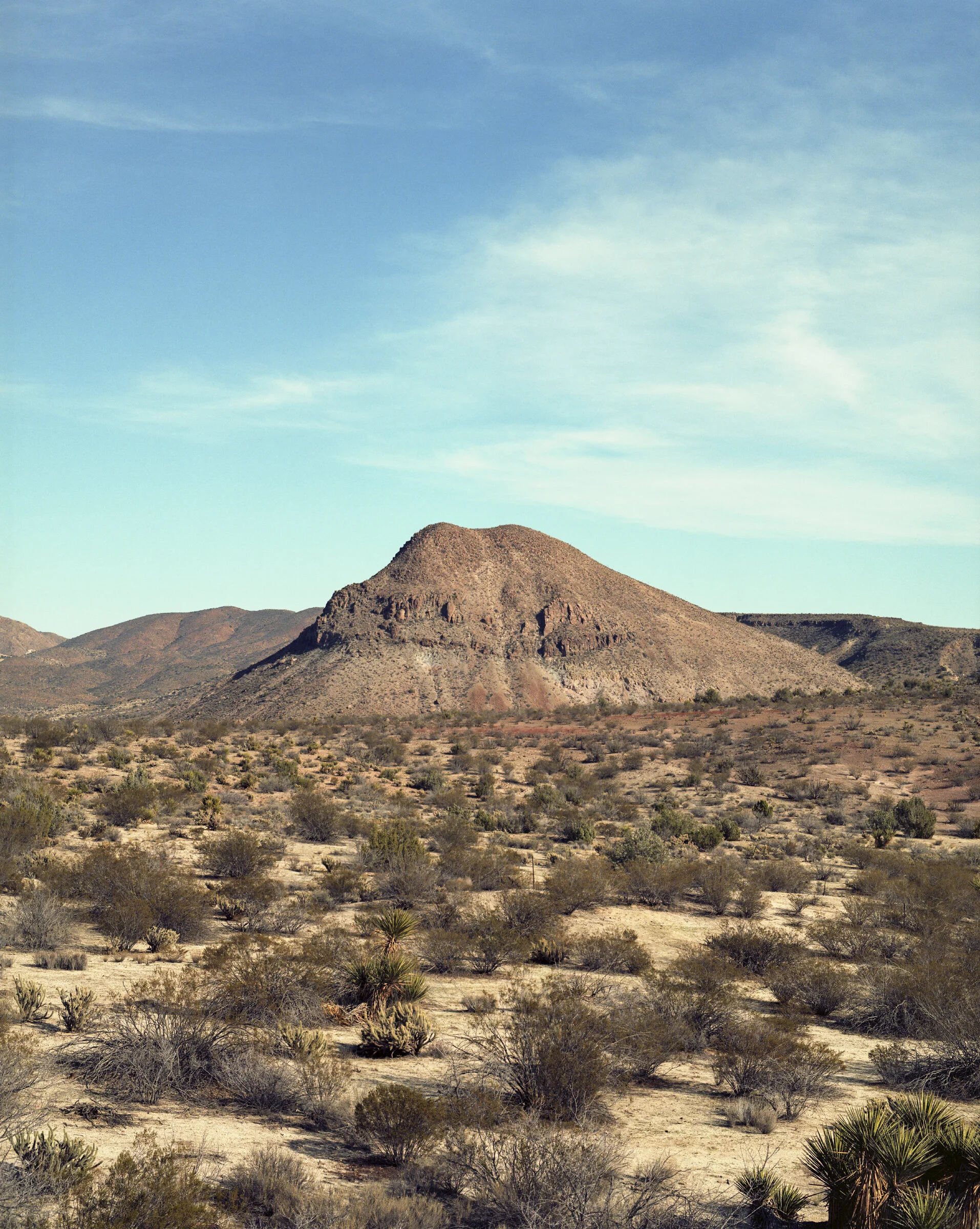  grant ellis CALIFORNIA 