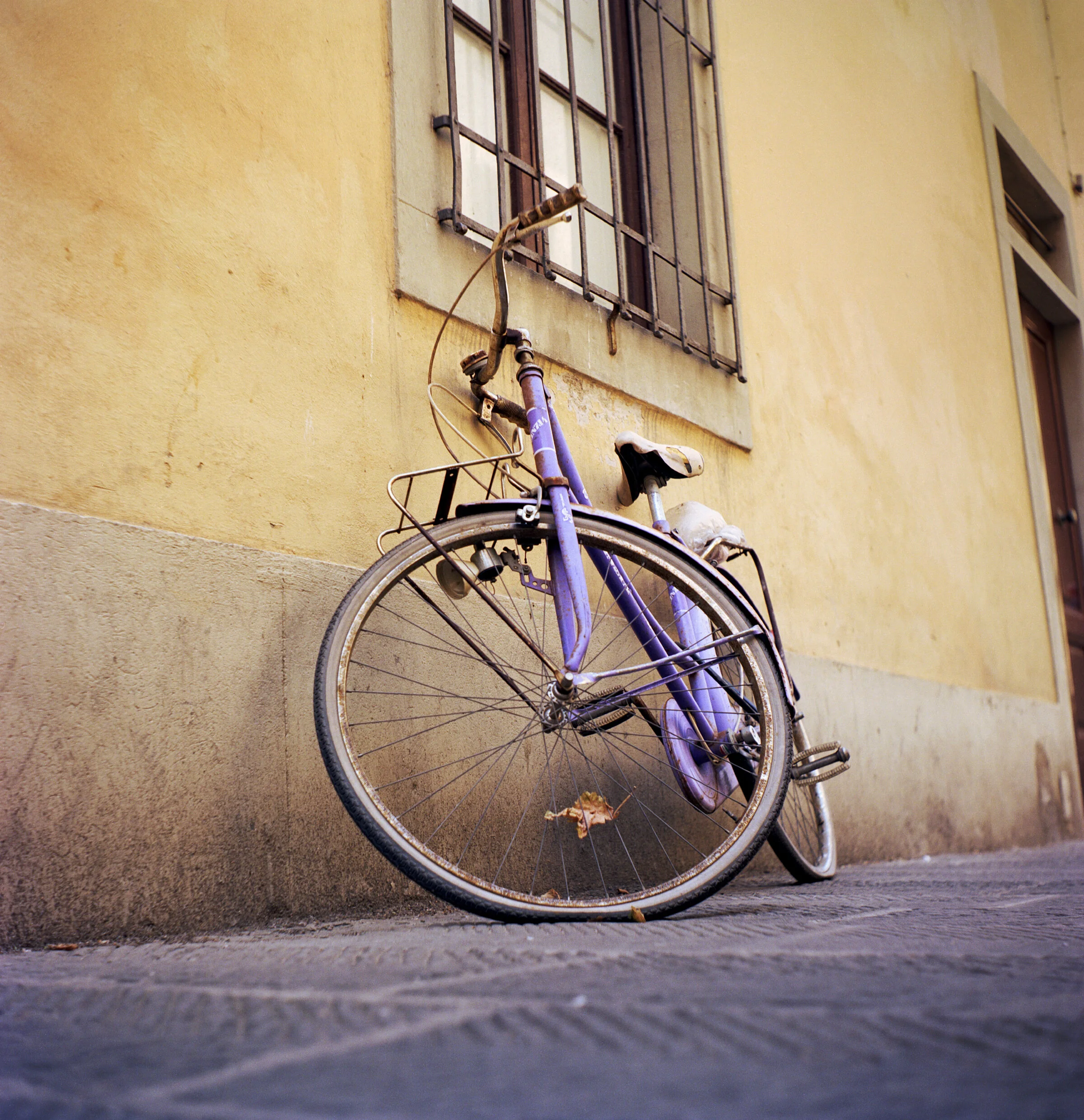  GRANT ELLIS PHOTOGRAPHY  