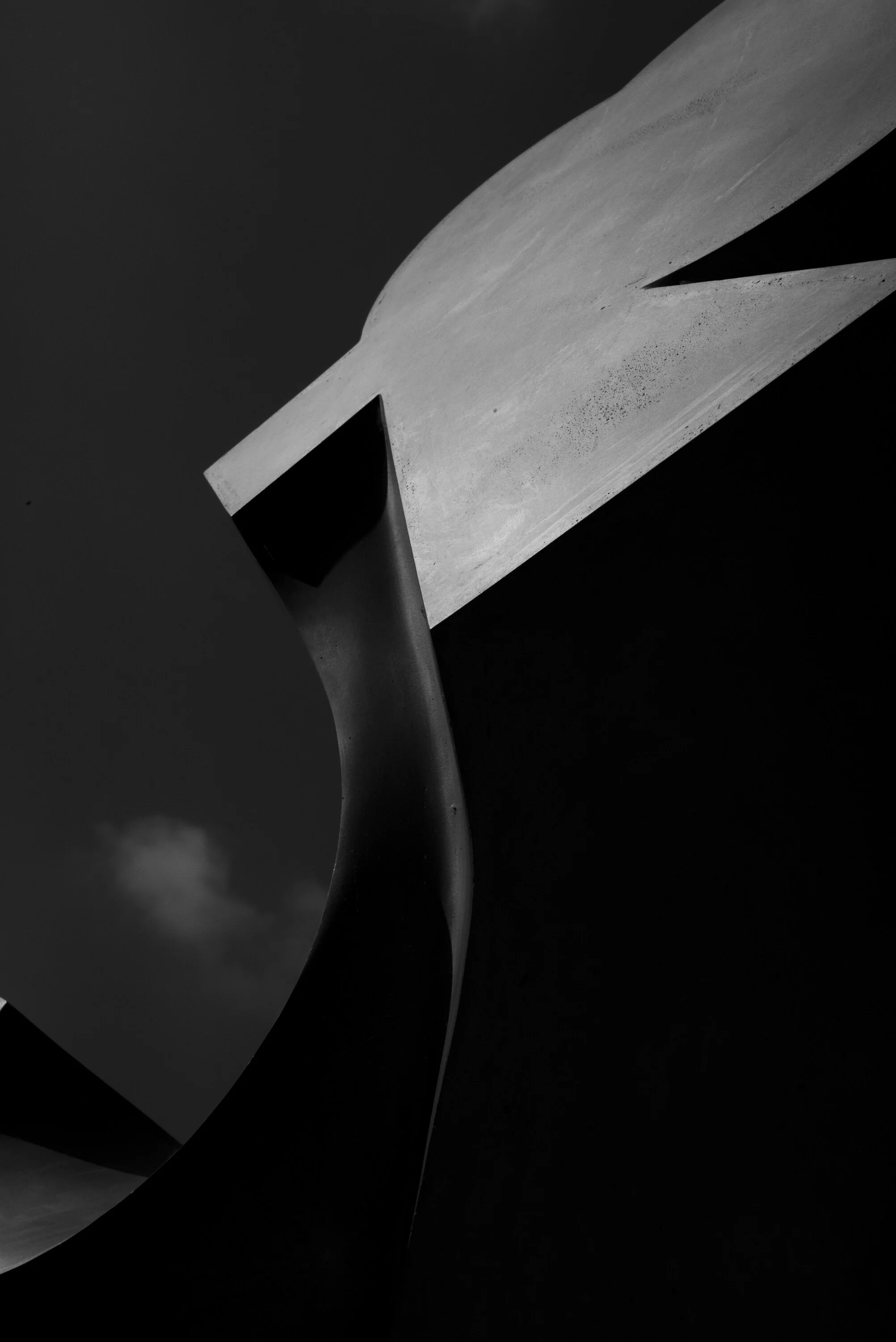 L1000991.jpg