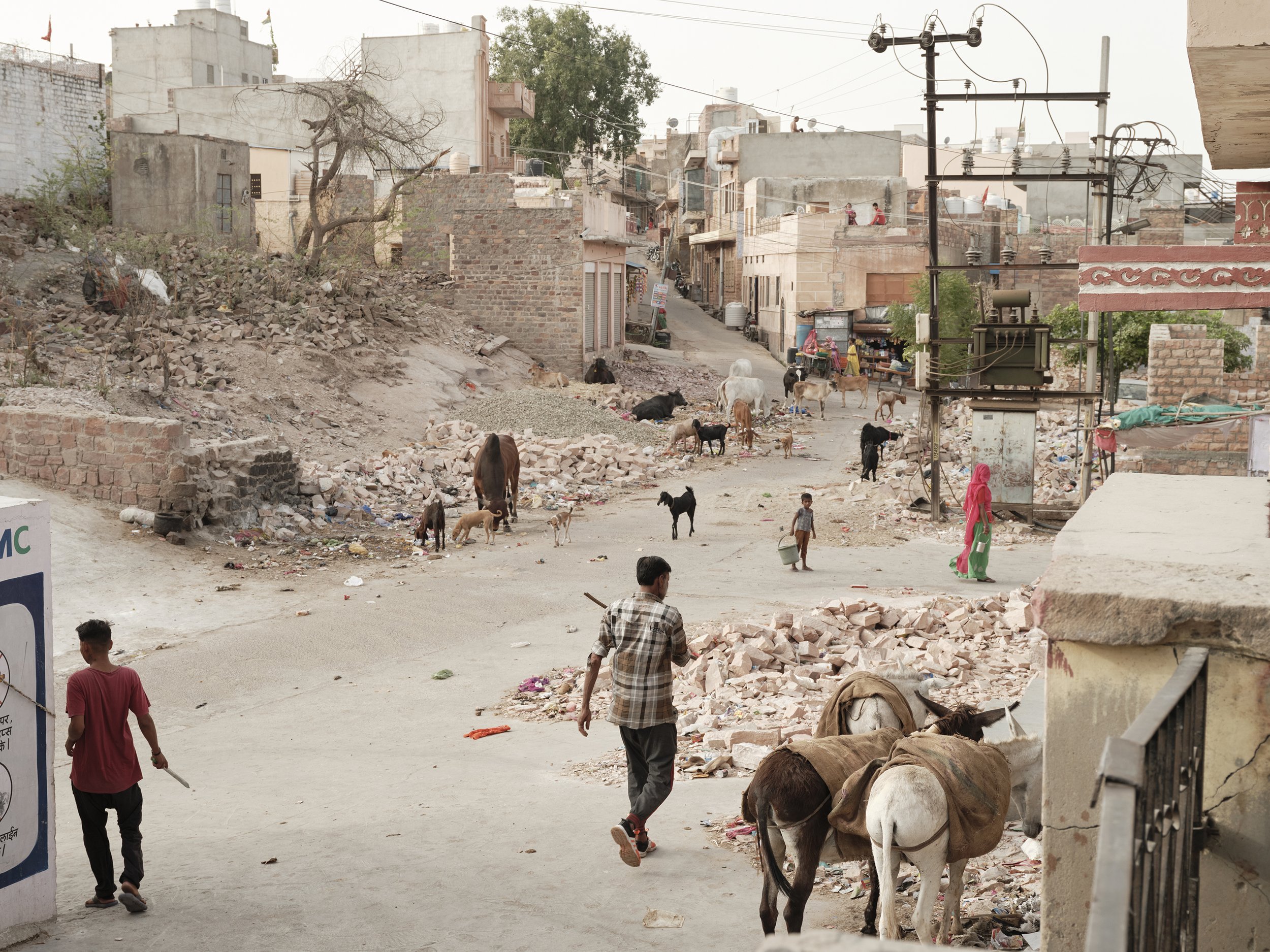  grantellis.com, portrait, editorial, INDIA, joseph grant ellis 