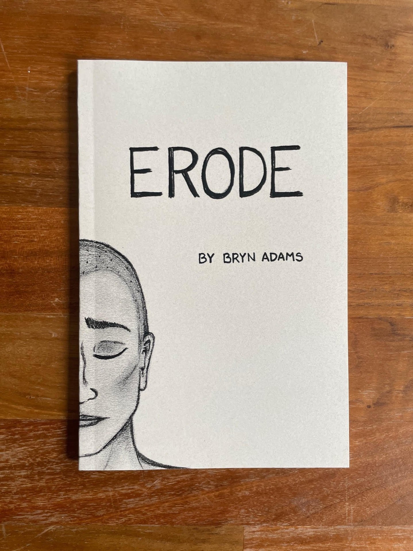 erode+book+pic+1.jpg