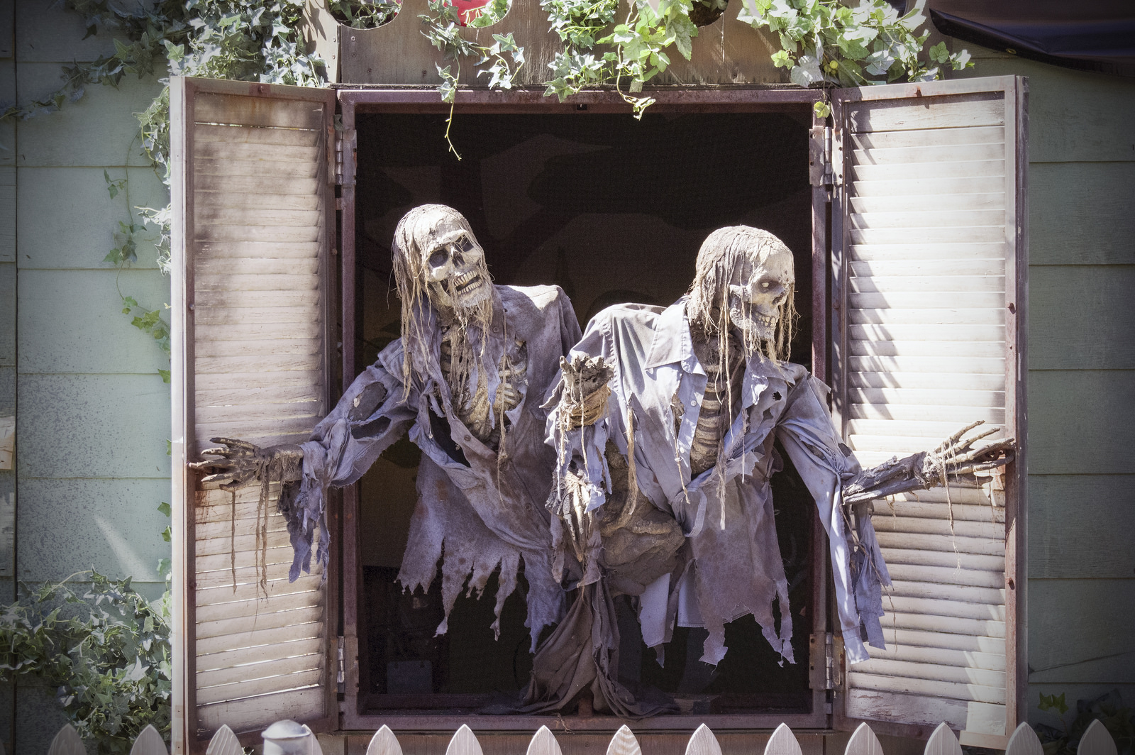 "Skeleton's in the Closet by Ross Stachan" is licensed under CC BY-NC-ND 2.0