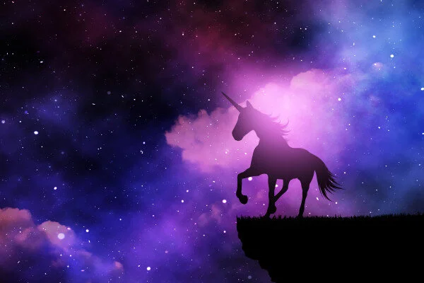 Tardigrade Brand: If you try to build a non-unicorn brand as a unicorn, then you are basically setting yourself and the brand up for failure.