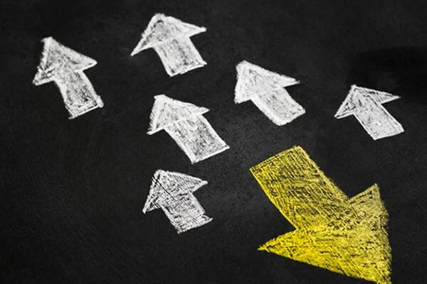 Pivoting Business: Sometimes, pivoting your company’s focus can be a good thing. You have a much smaller product offering to focus on, so you're more efficient and happier. You don't have to keep up with many different skews.