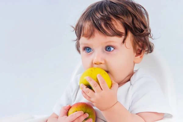 TIG 101 Shibani | Baby Food