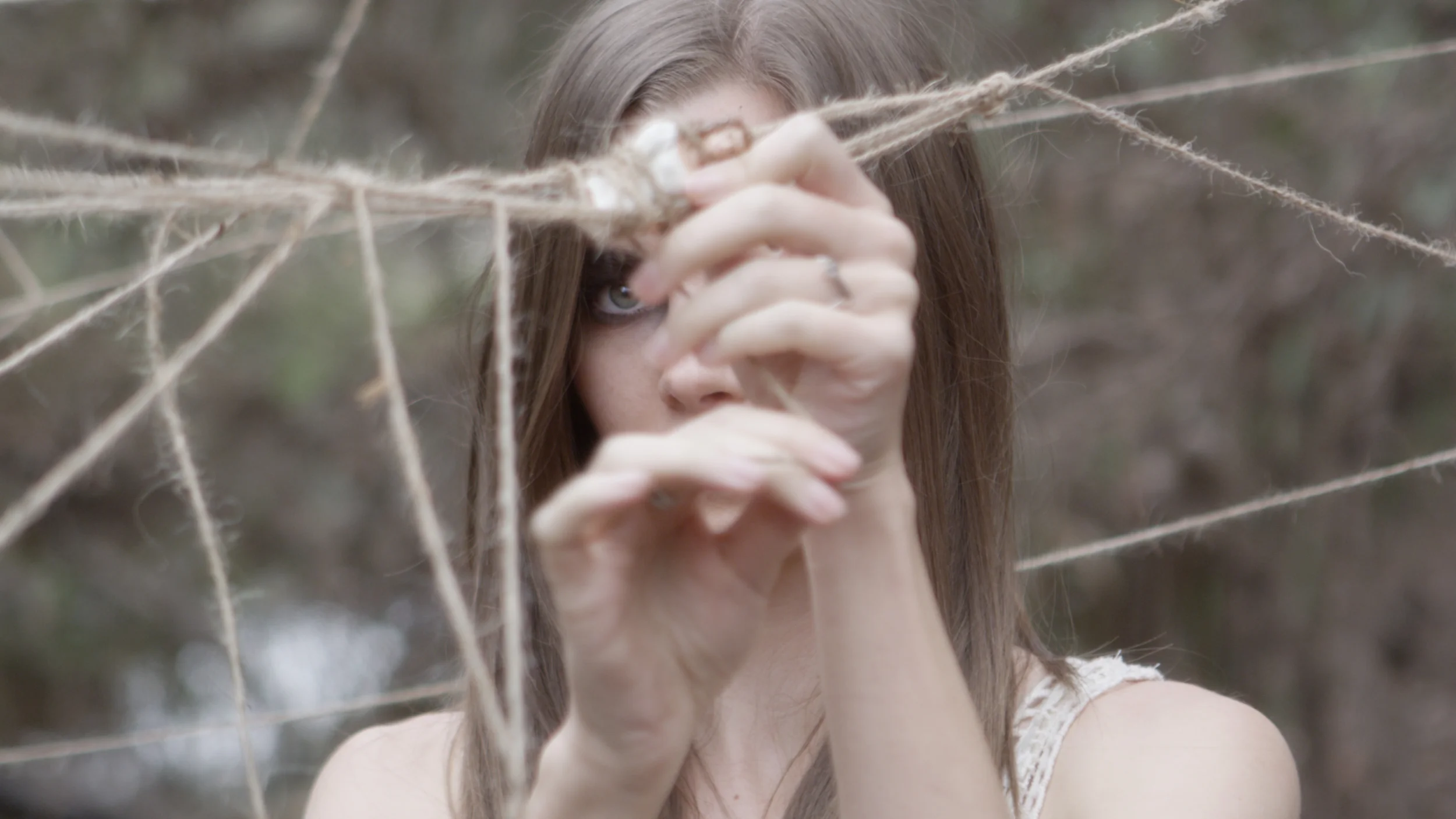 Spiderweb.Still003.jpg